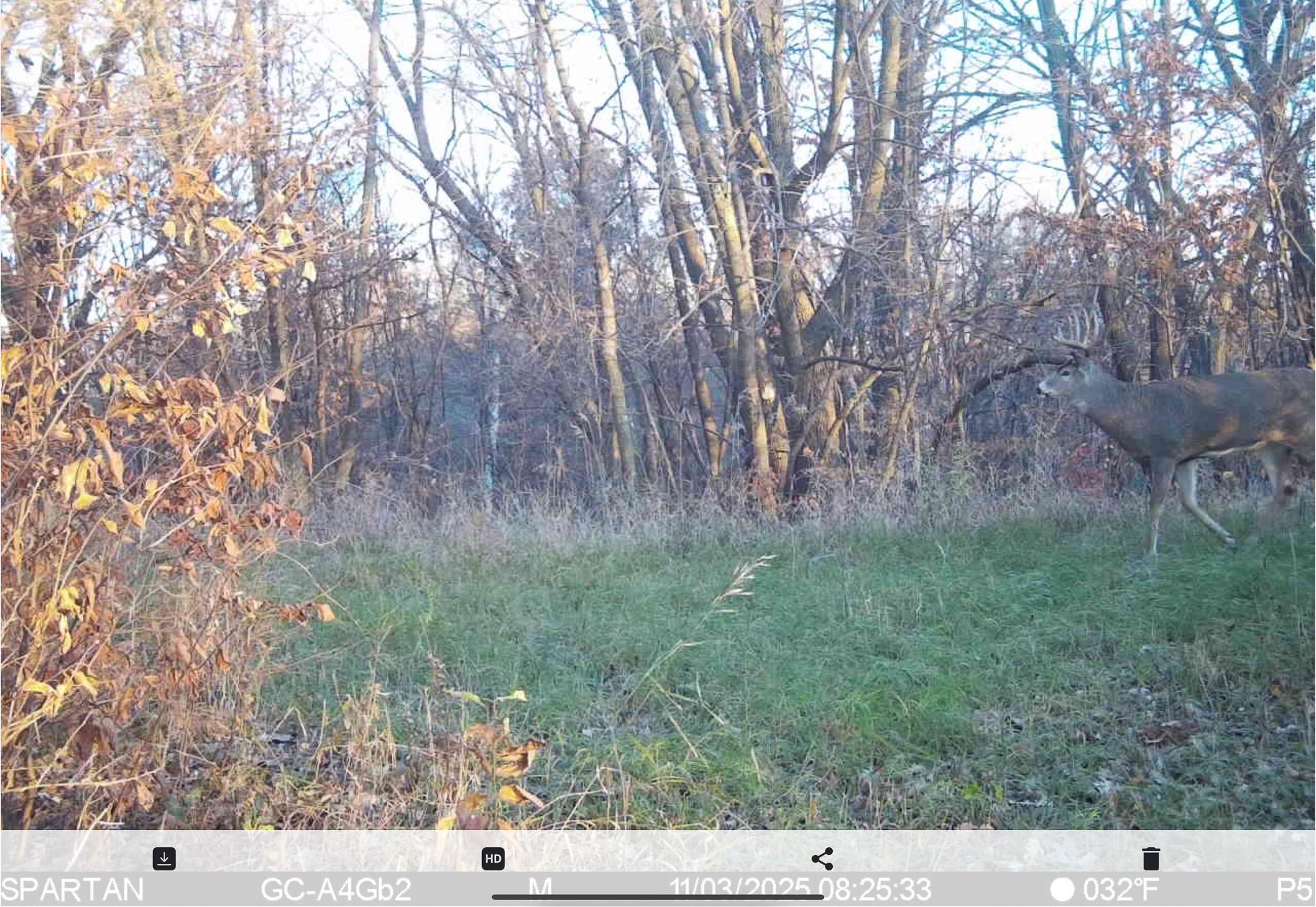 main property photo 147