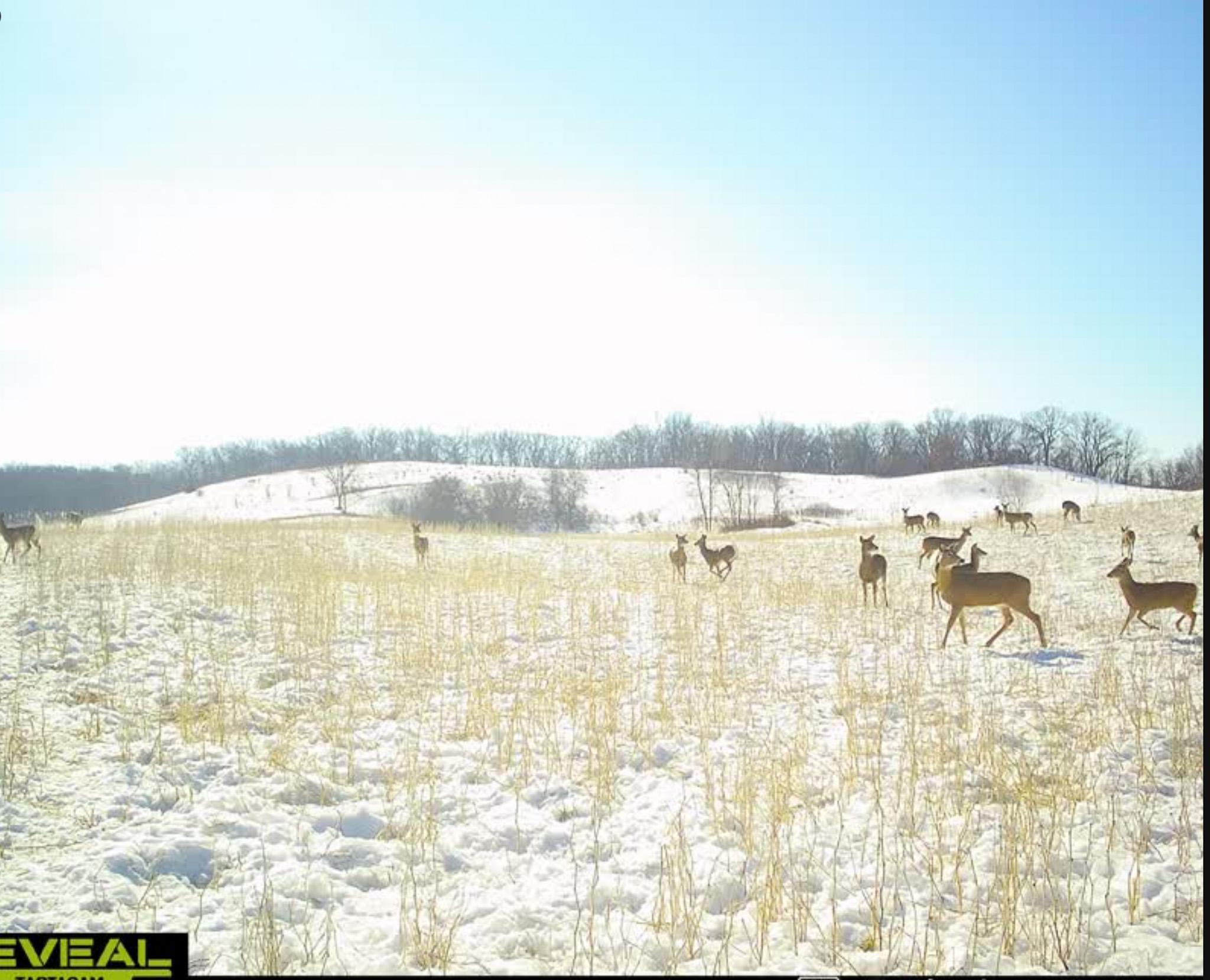 main property photo 154