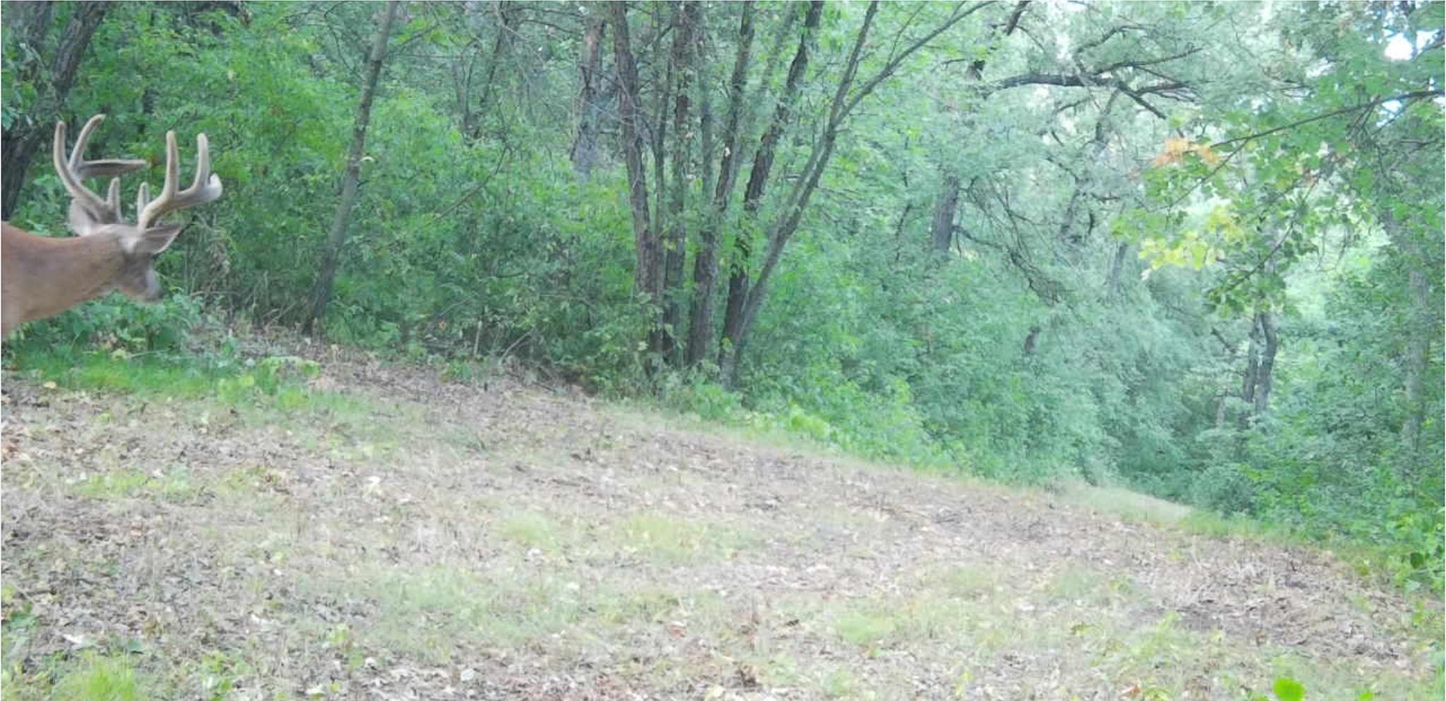 main property photo 158
