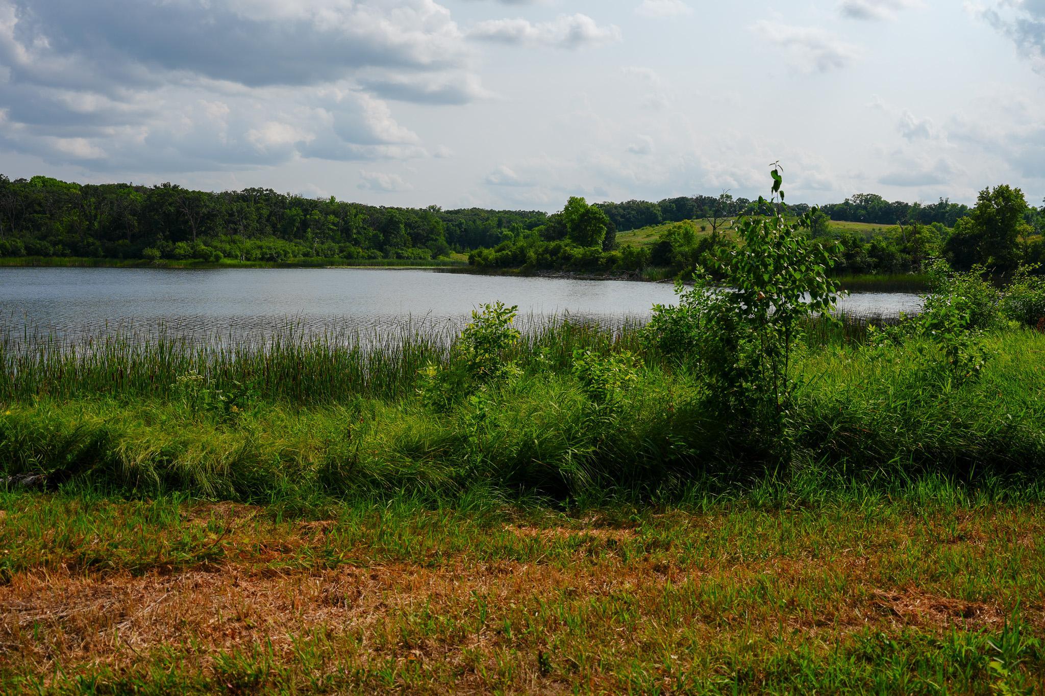 main property photo 30