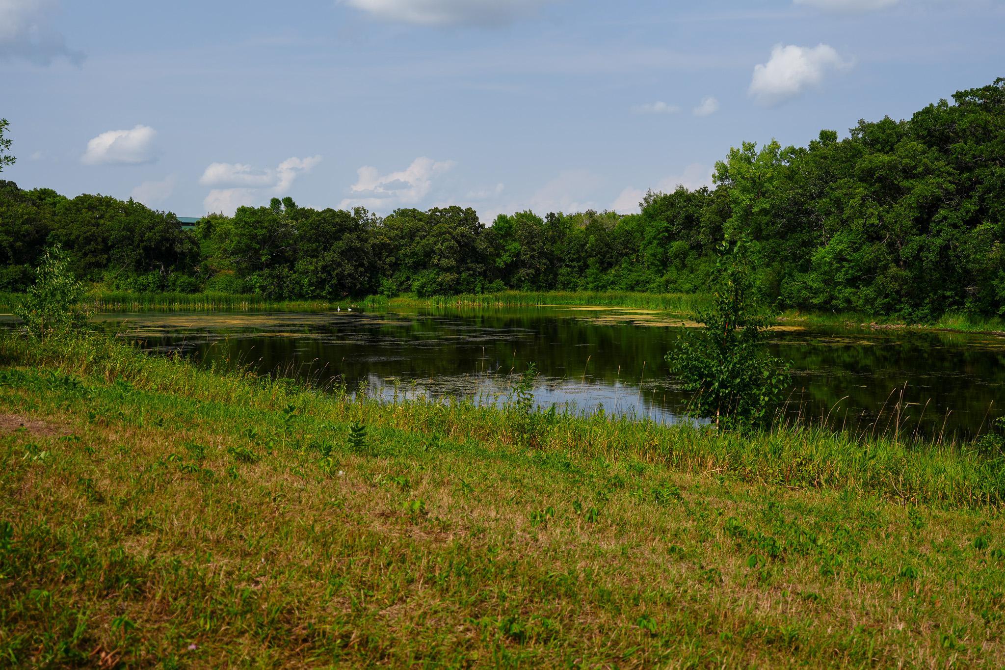 main property photo 32
