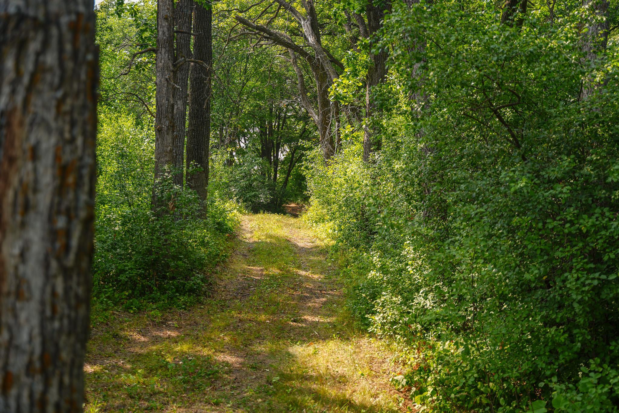 main property photo 45
