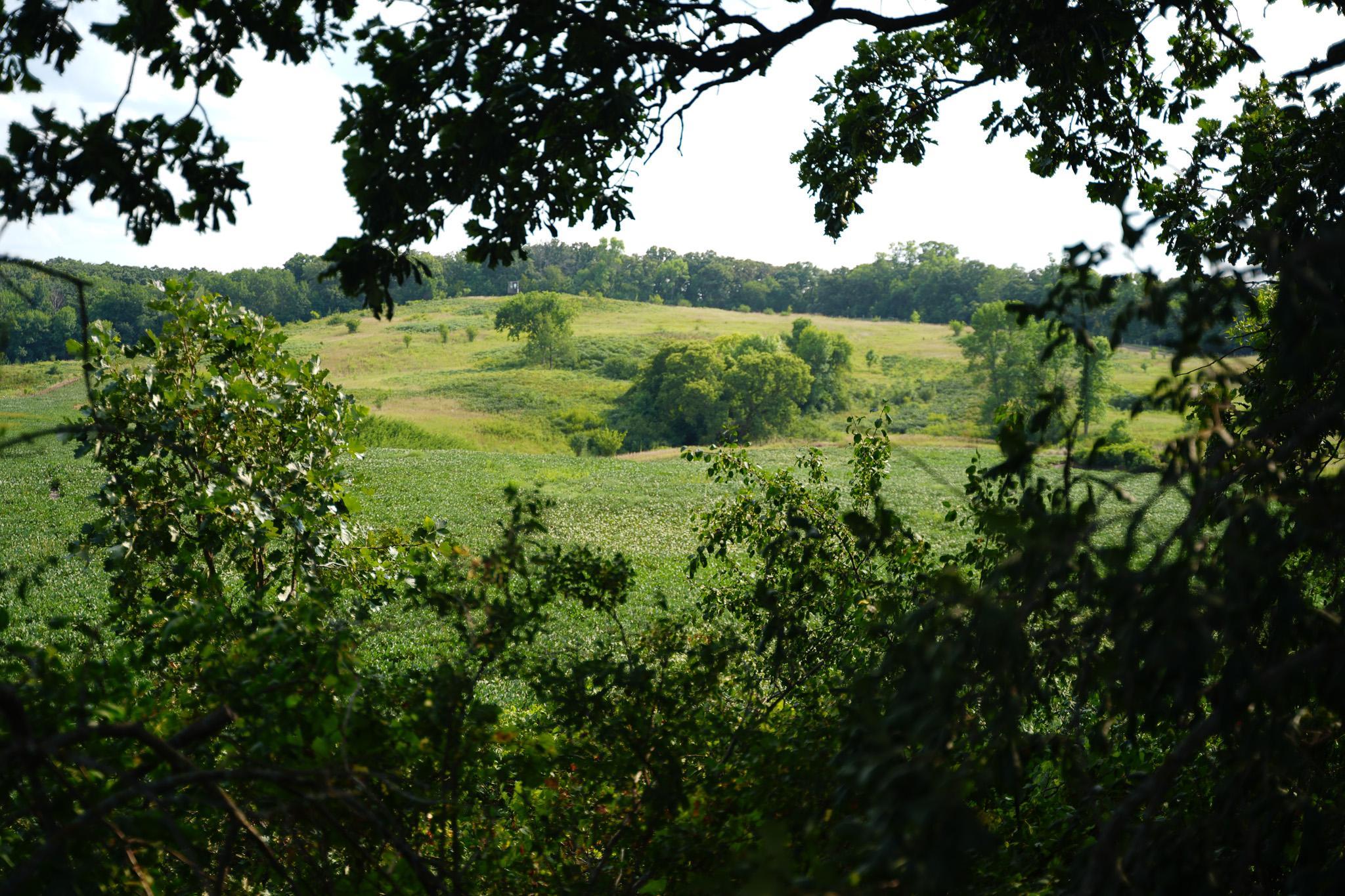 main property photo 51