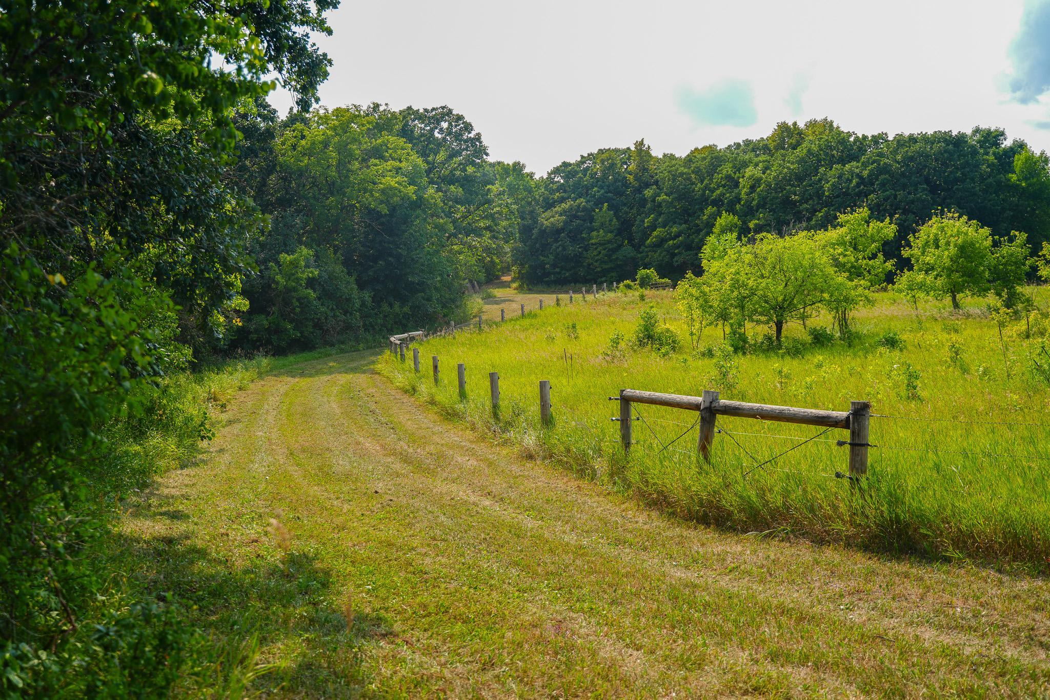 main property photo 52