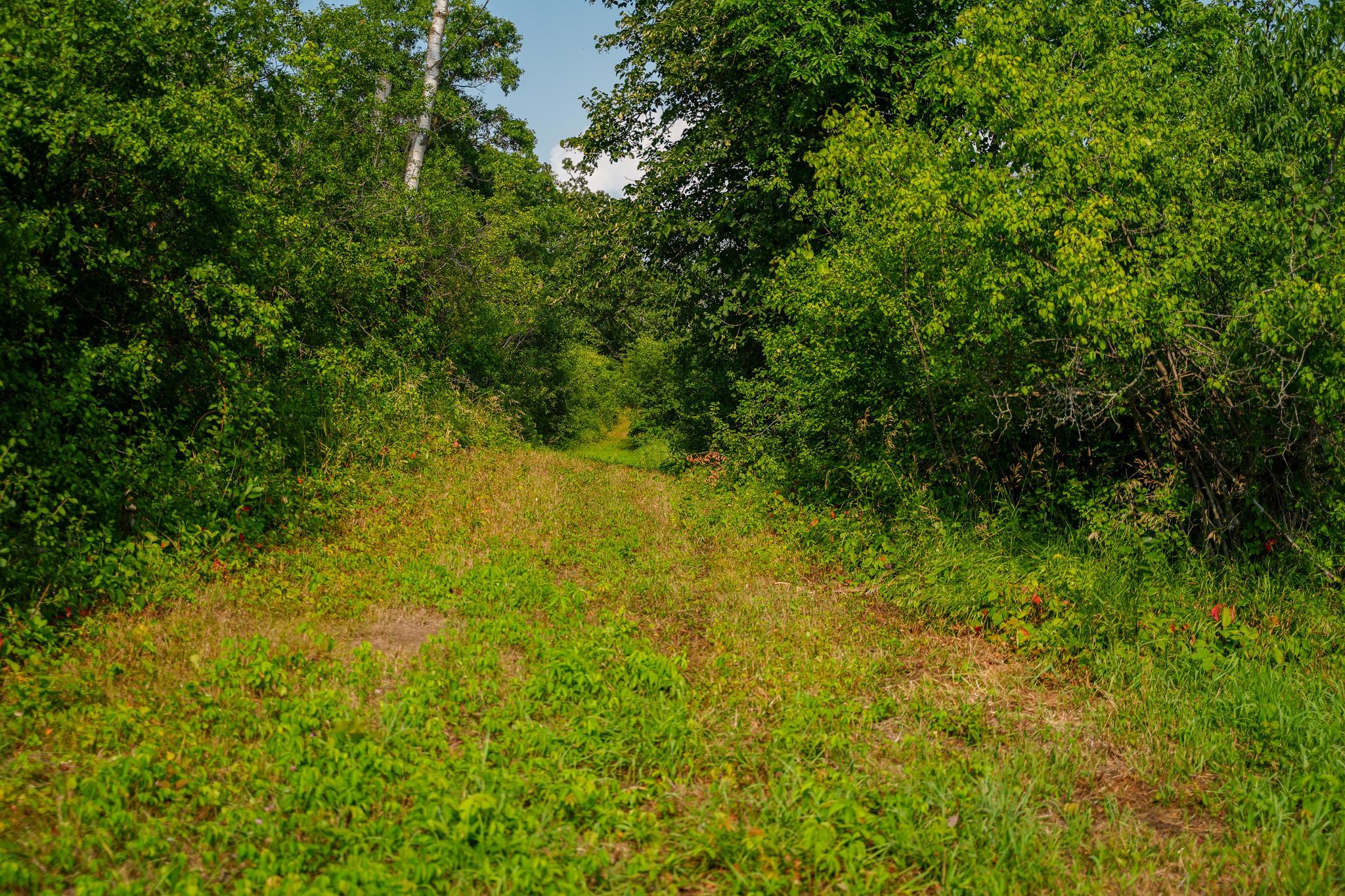 main property photo 54
