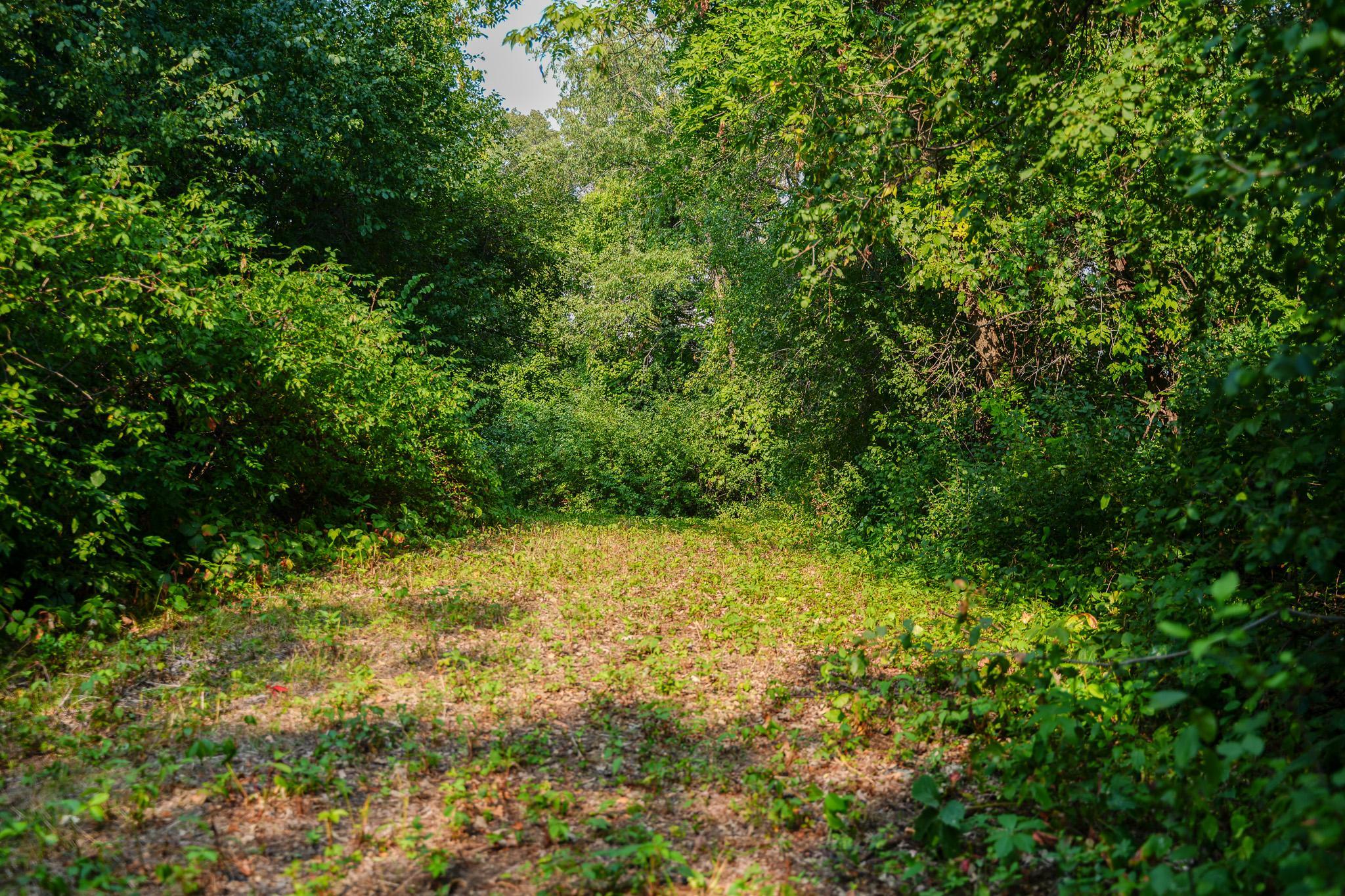 main property photo 57