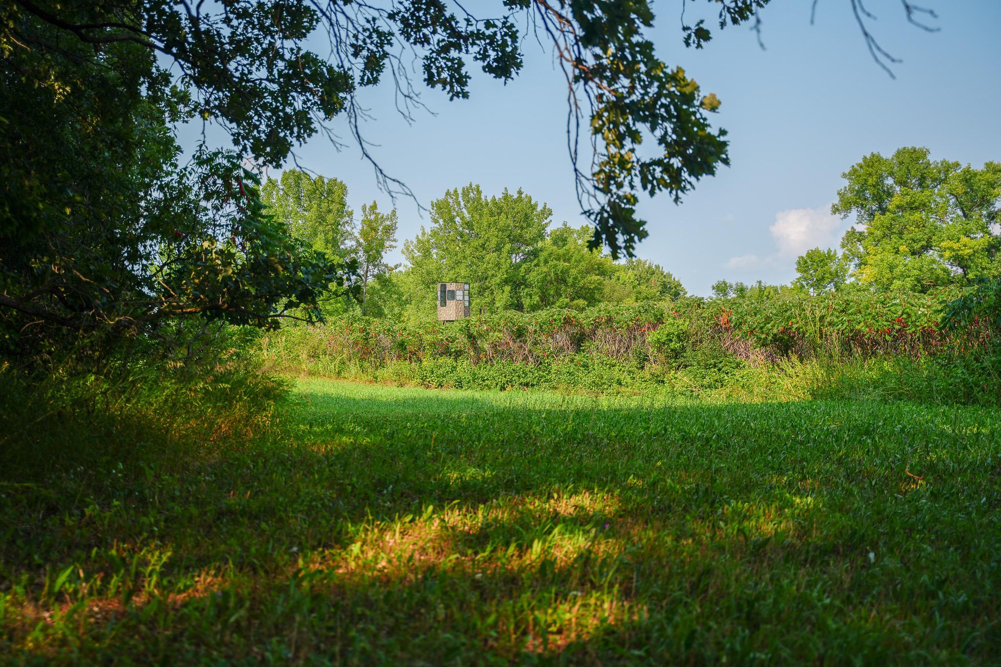 main property photo 58