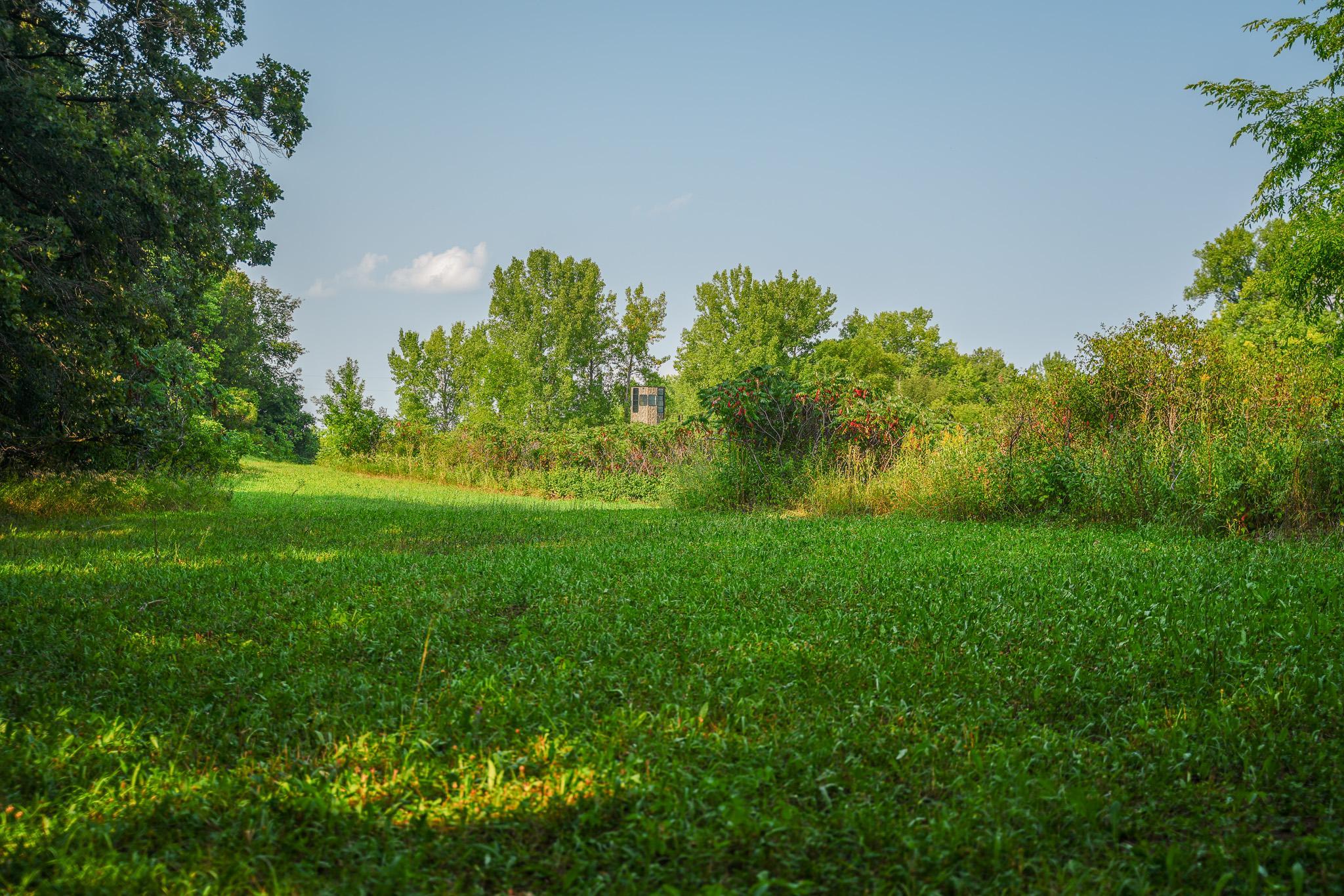 main property photo 59