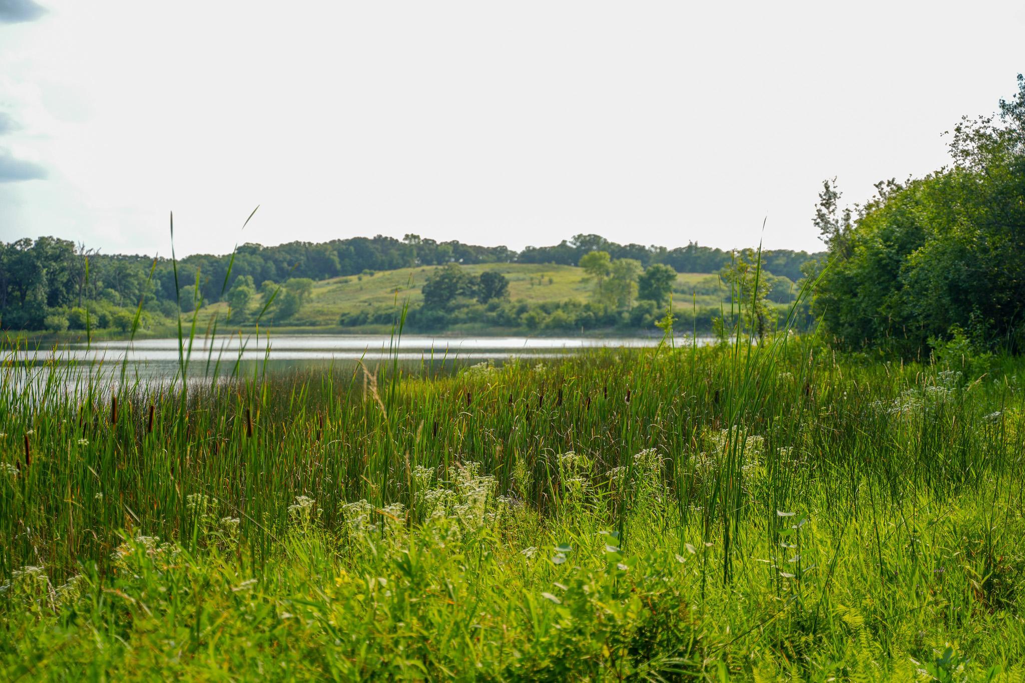 main property photo 60
