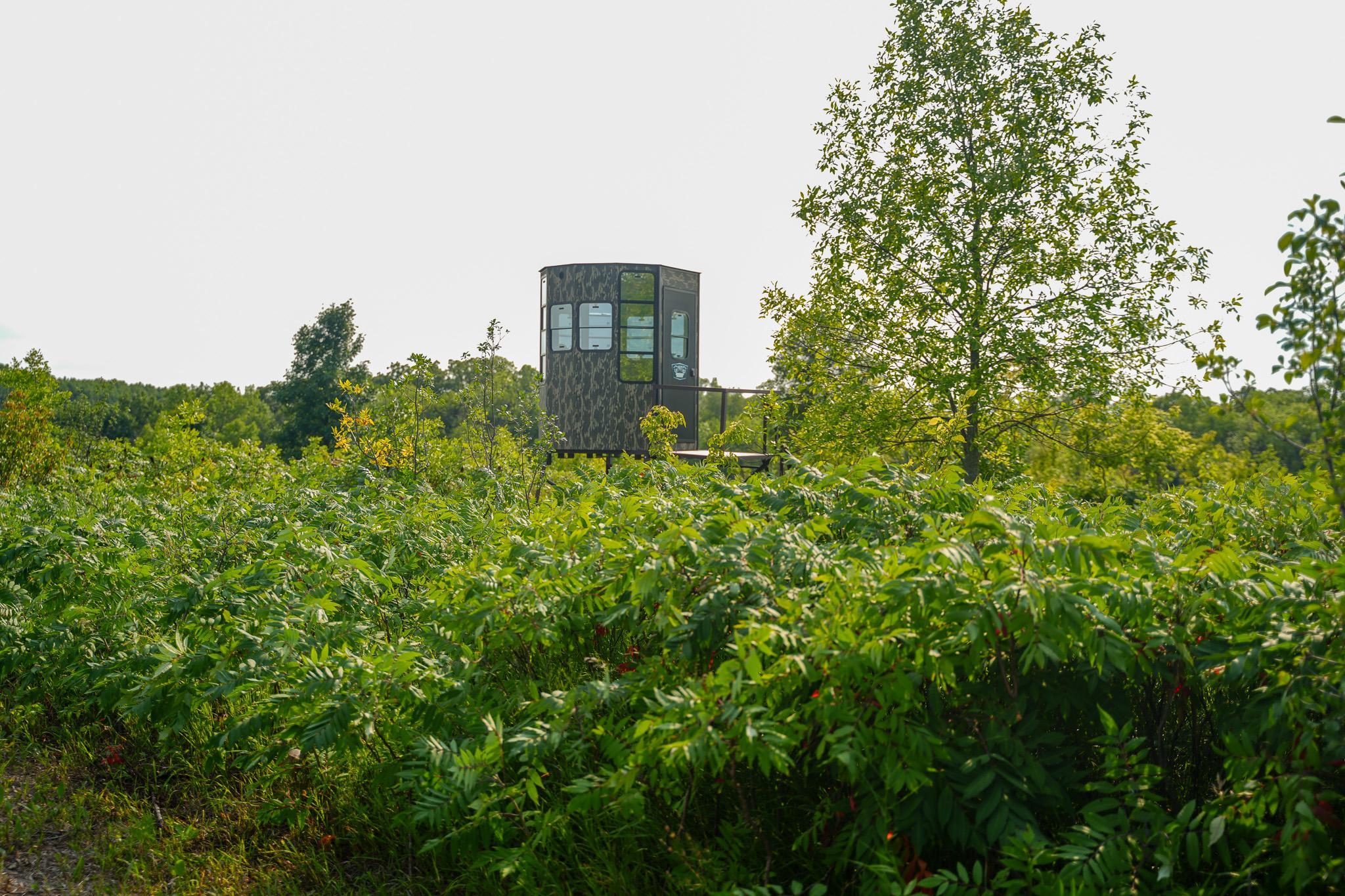 main property photo 61