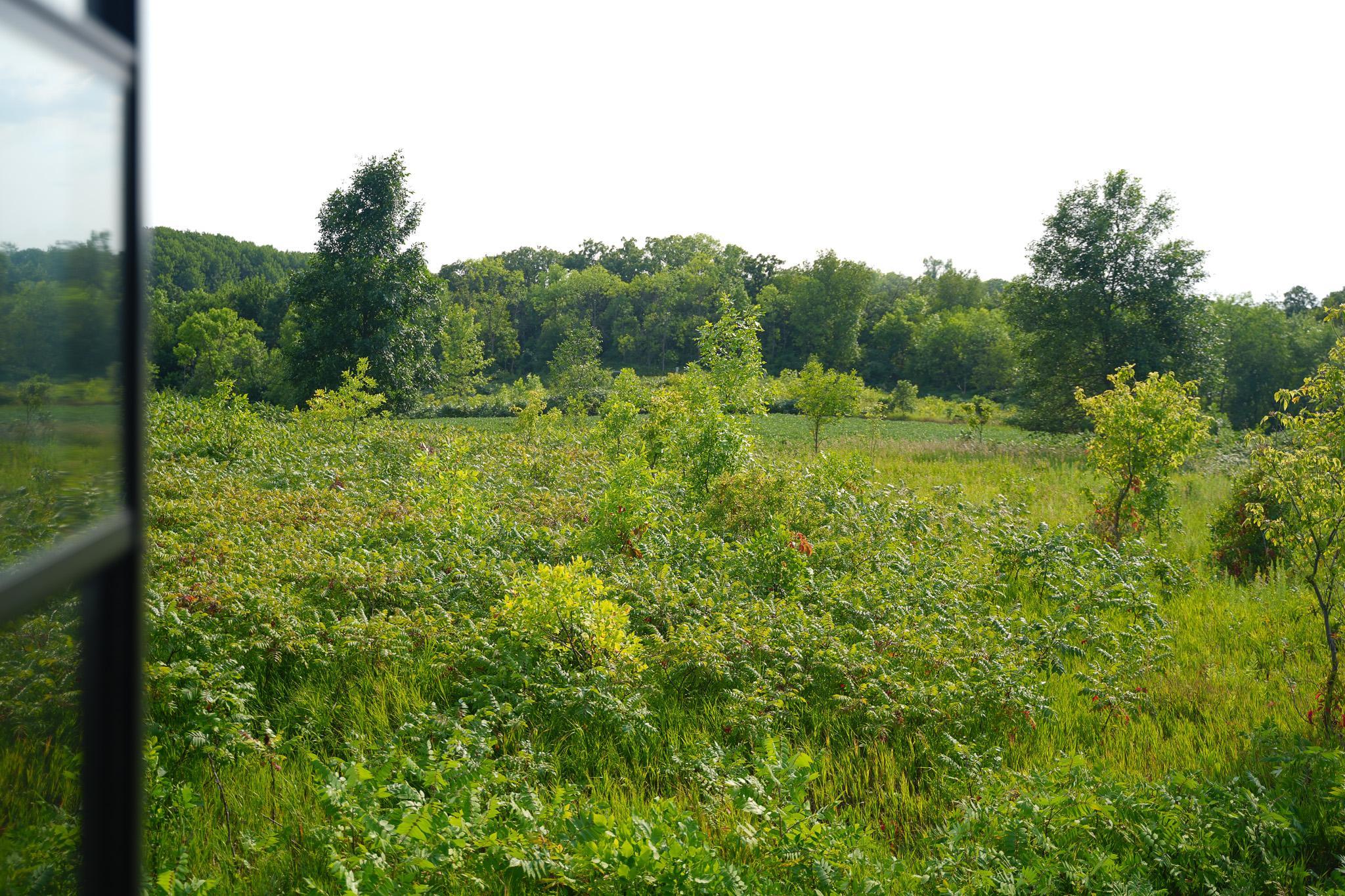 main property photo 63