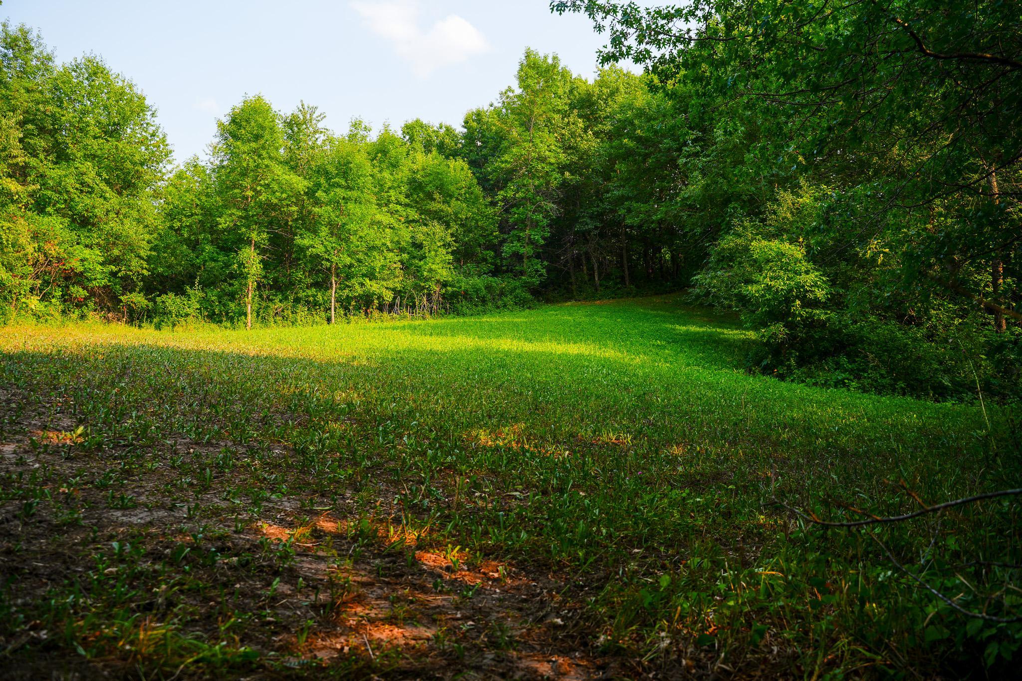 main property photo 75