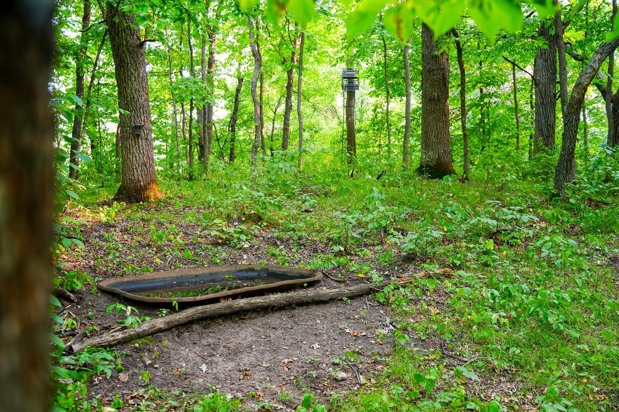 main property photo 77