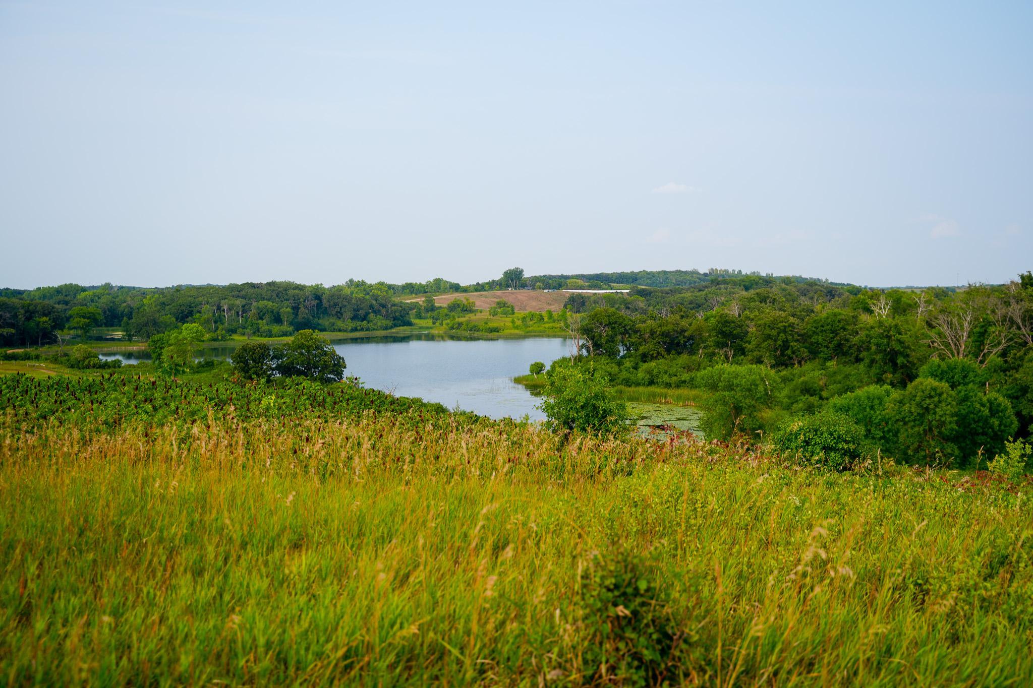 main property photo 79