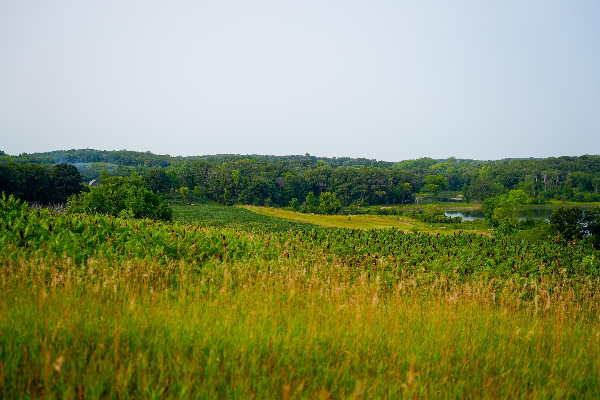 main property photo 80