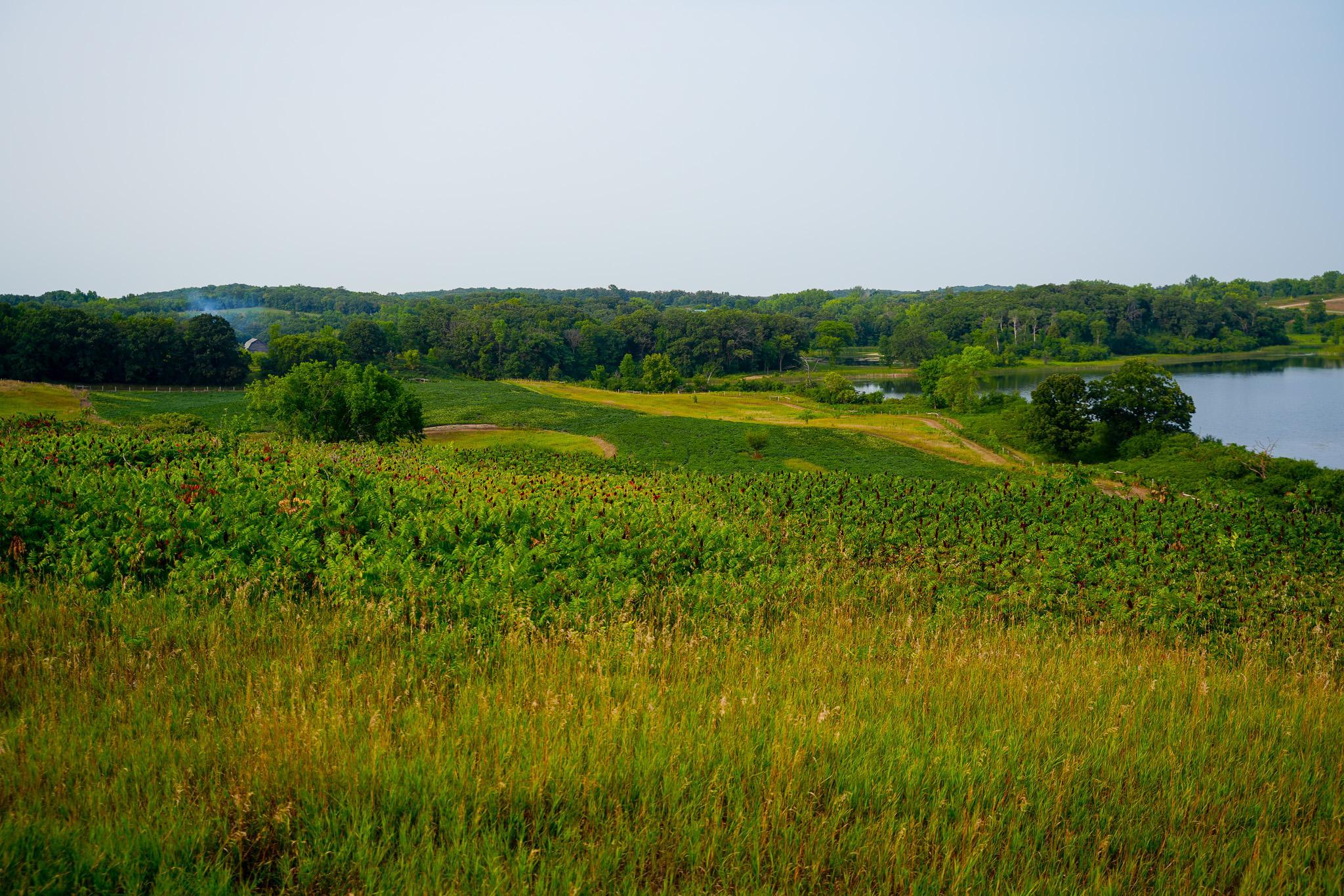 main property photo 82