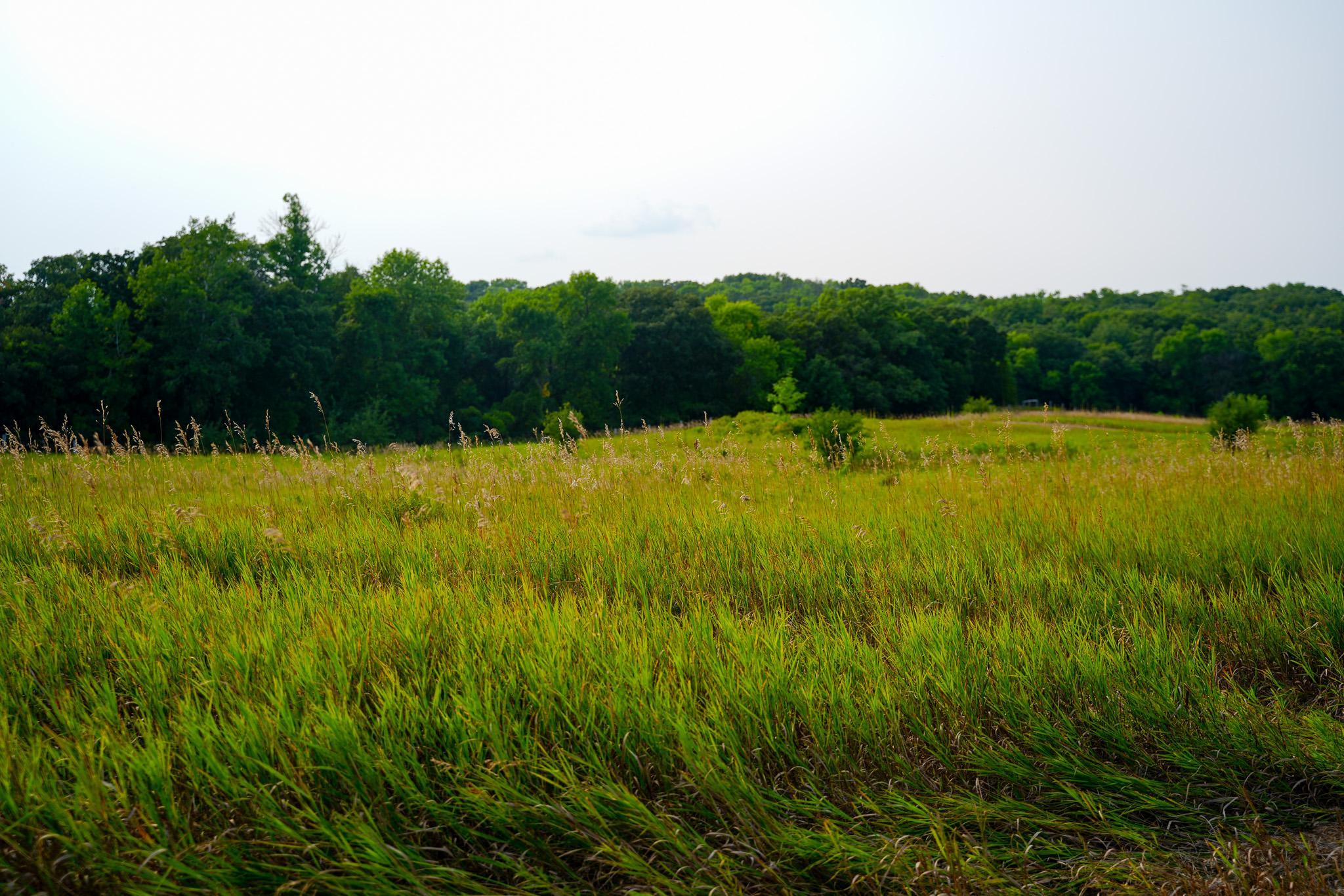 main property photo 84