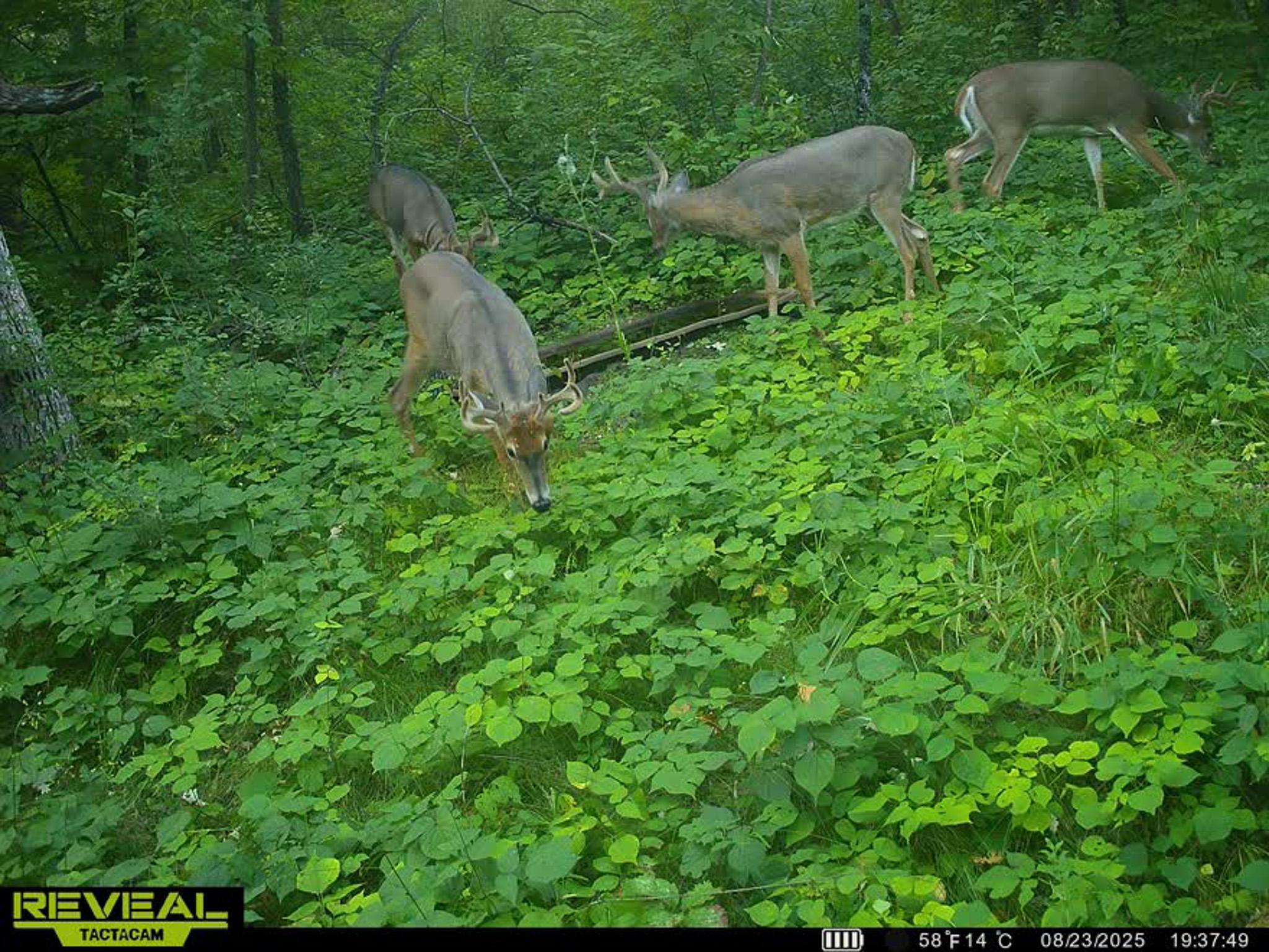 main property photo 95