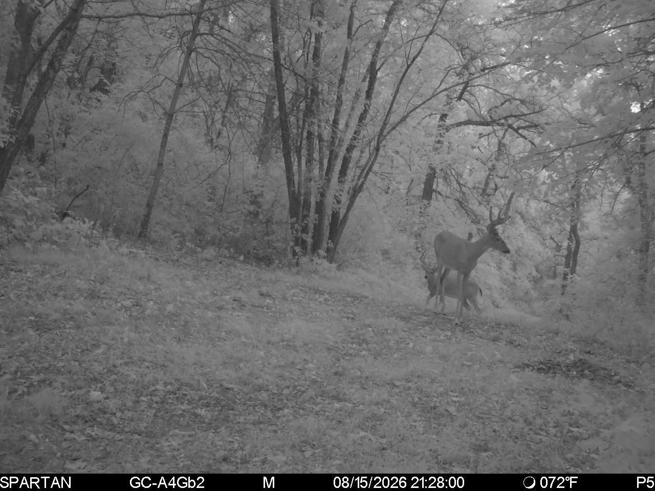 main property photo 96