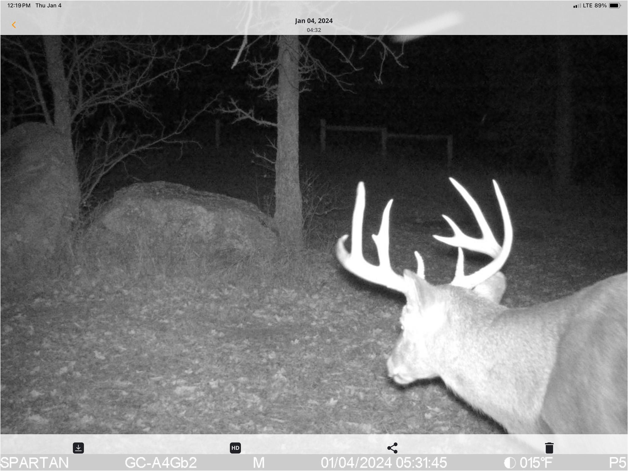 main property photo 97