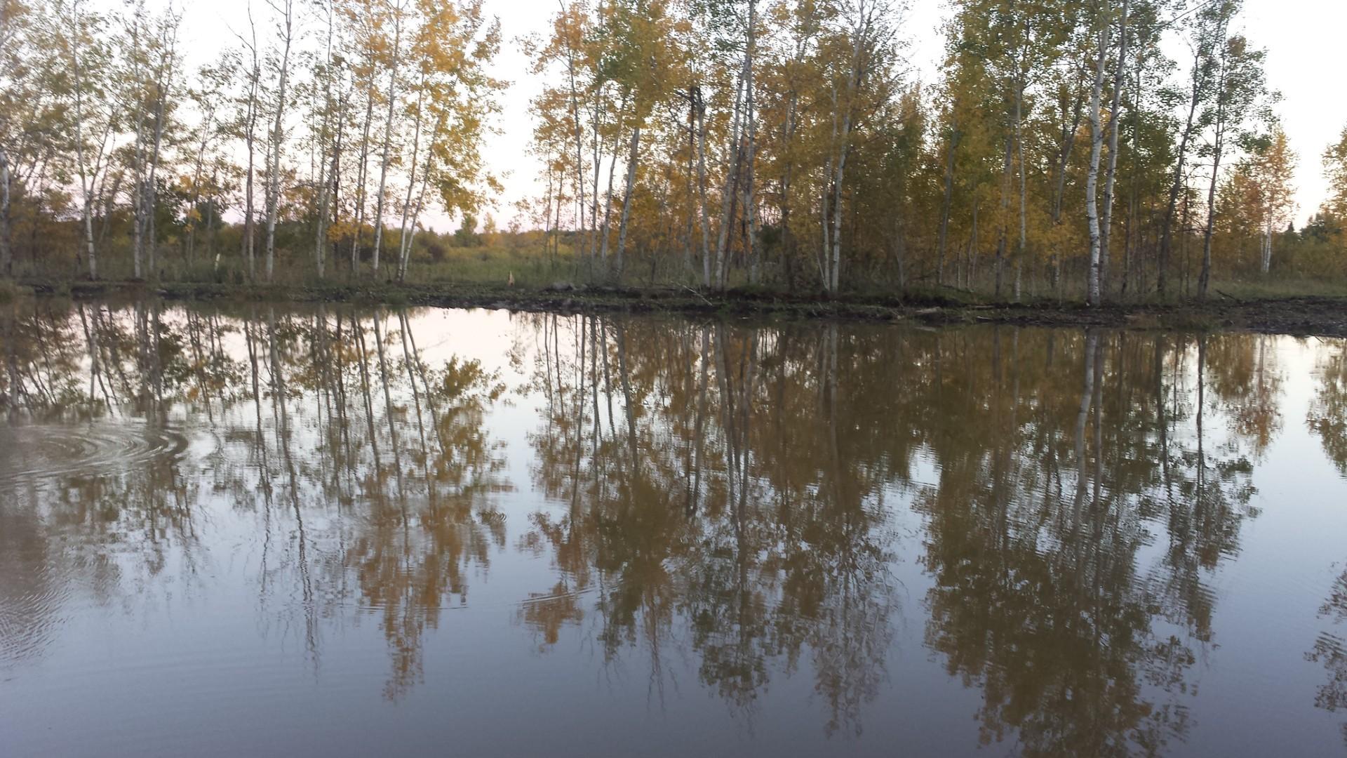 main property photo 43