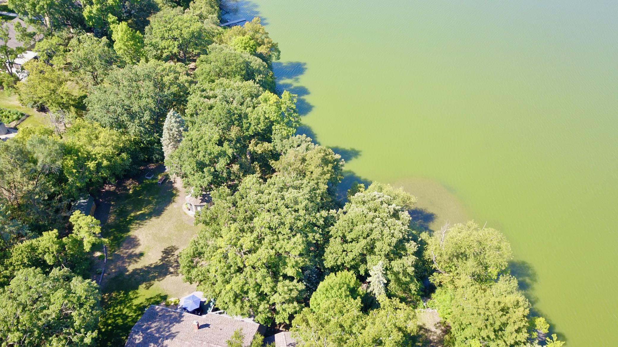 main property photo 64