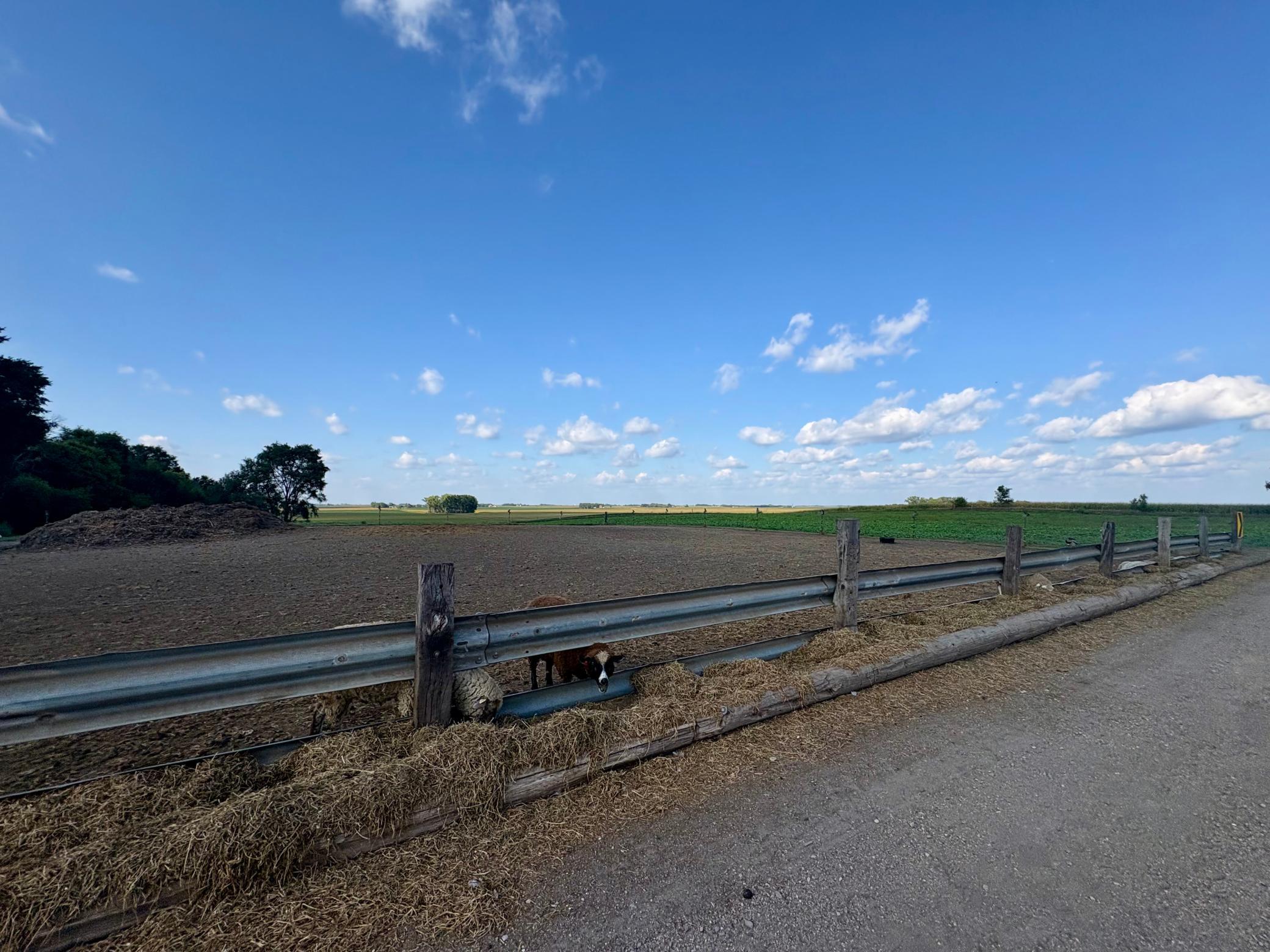 main property photo 50