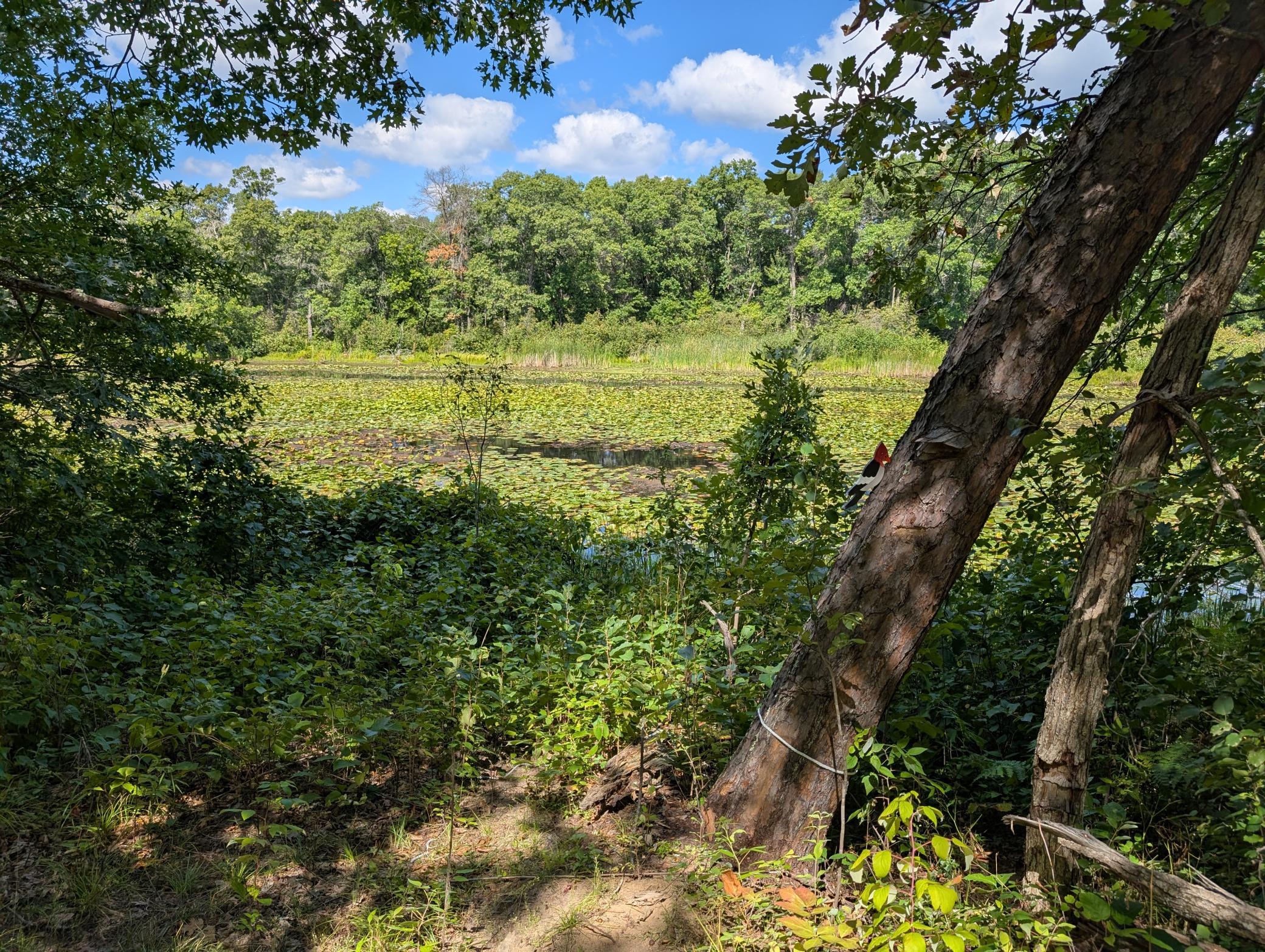 main property photo 0