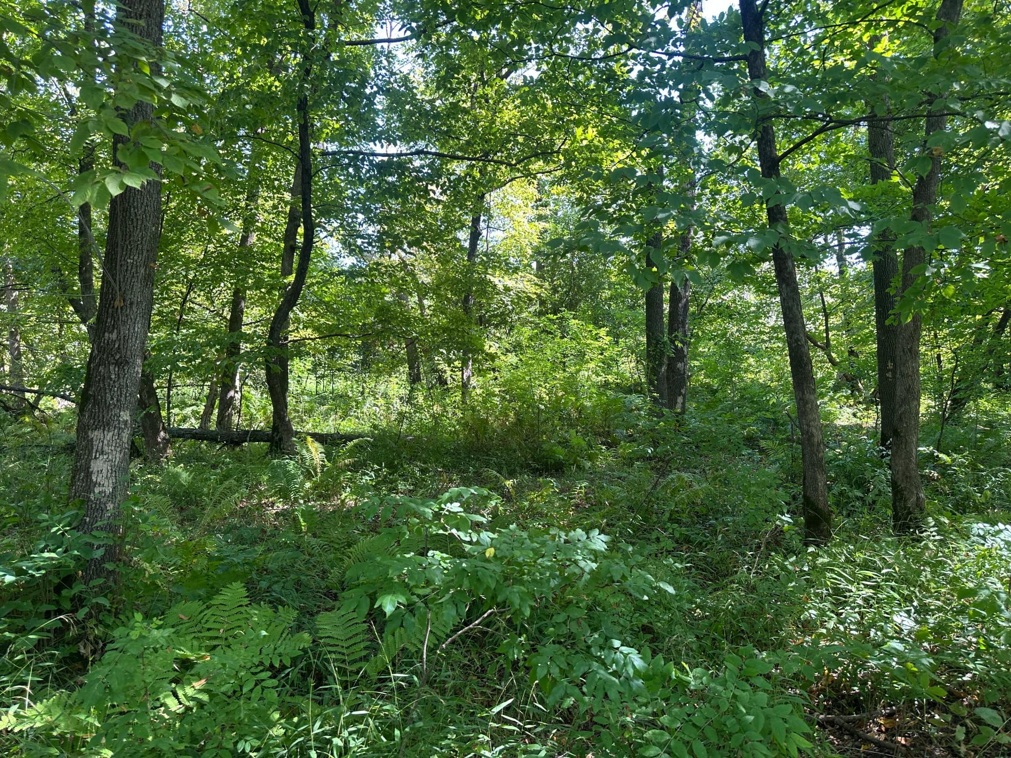 main property photo 33