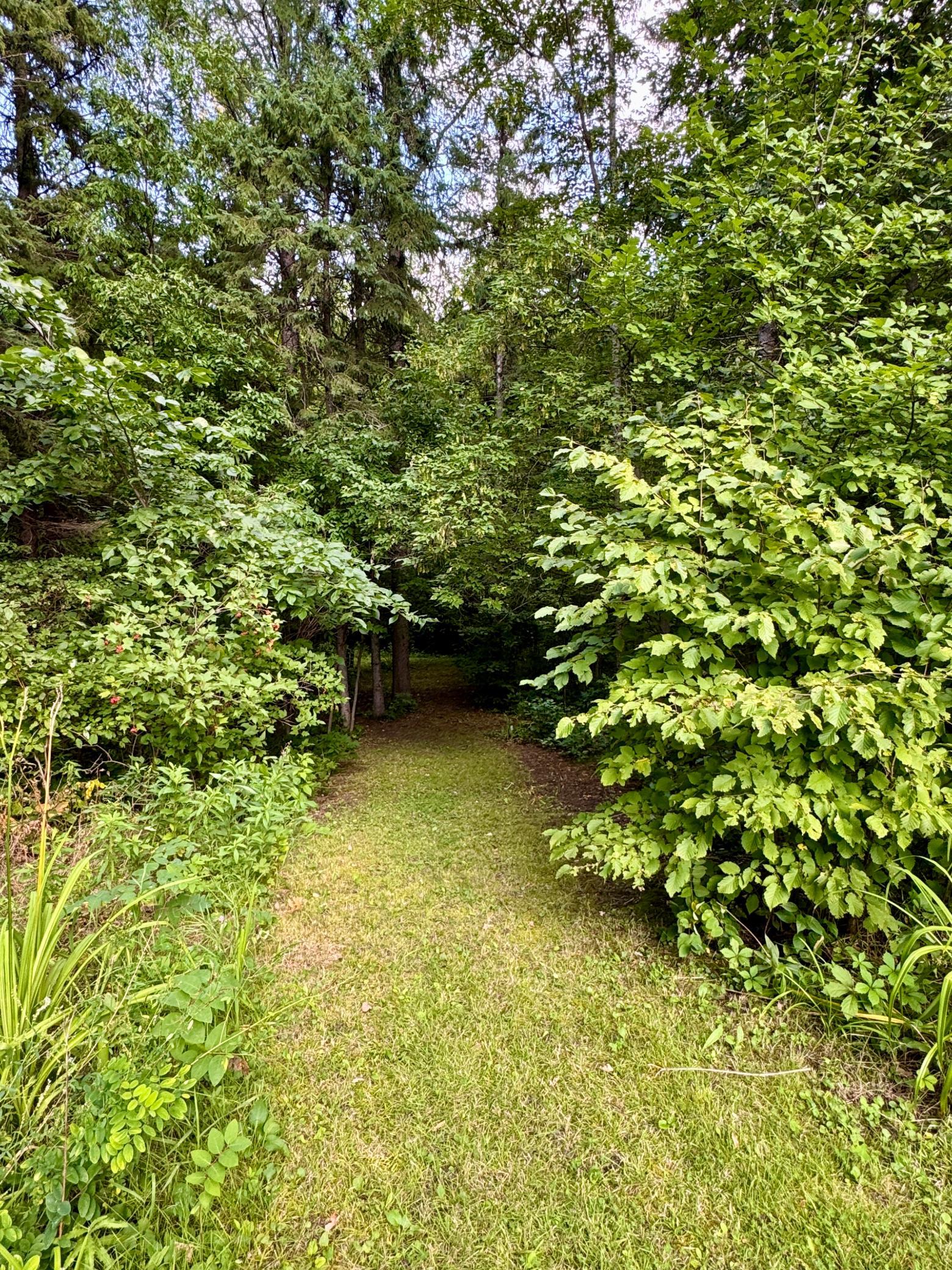 main property photo 45