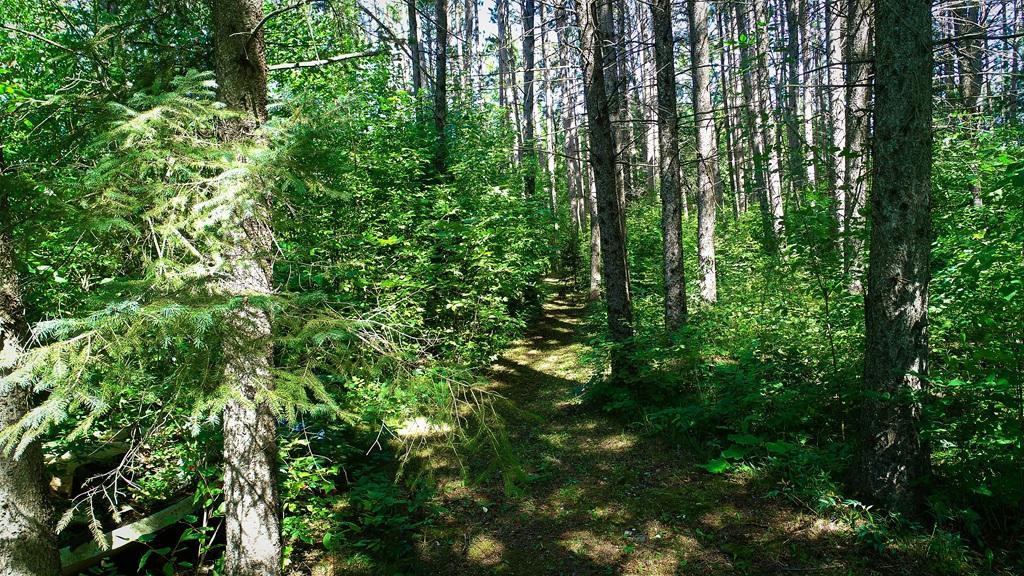 main property photo 51
