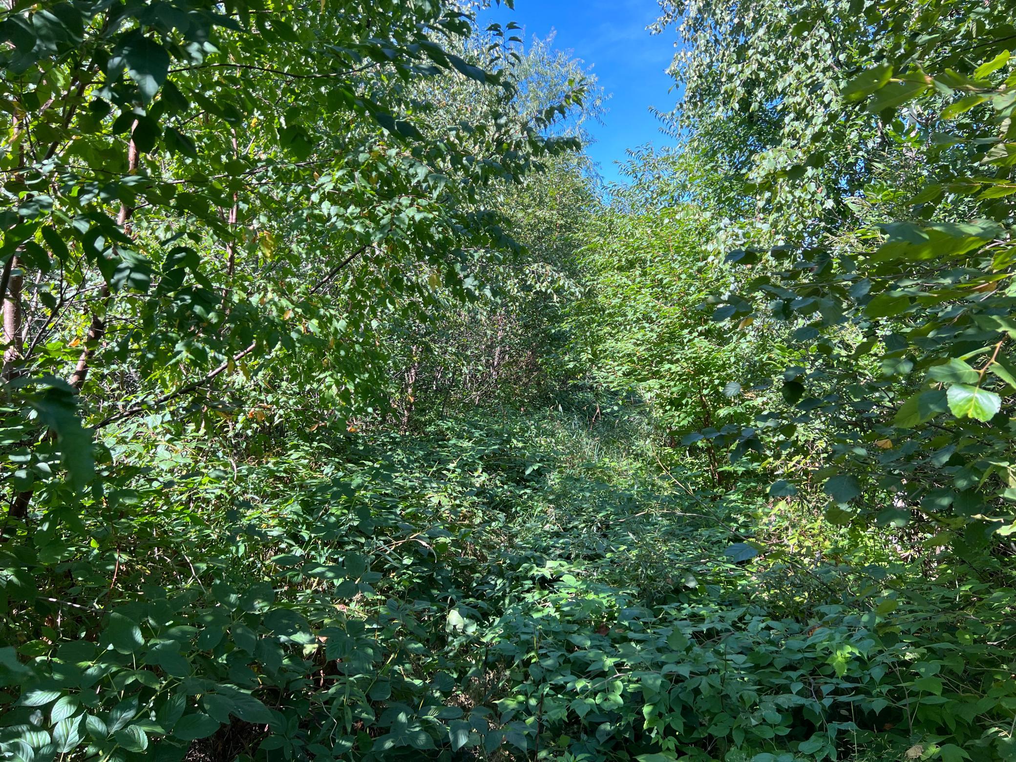 main property photo 12