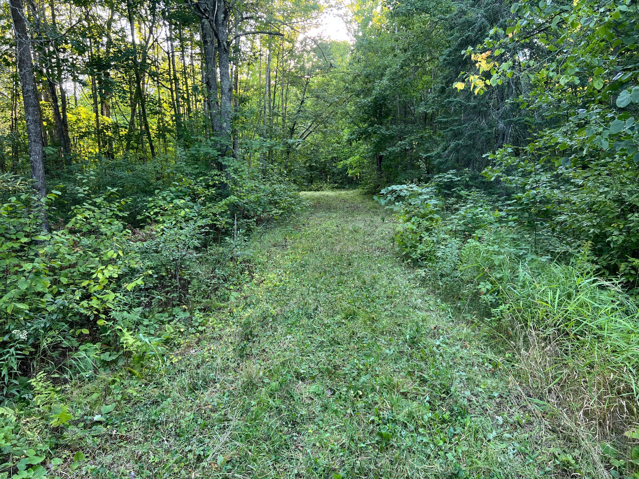 main property photo 30