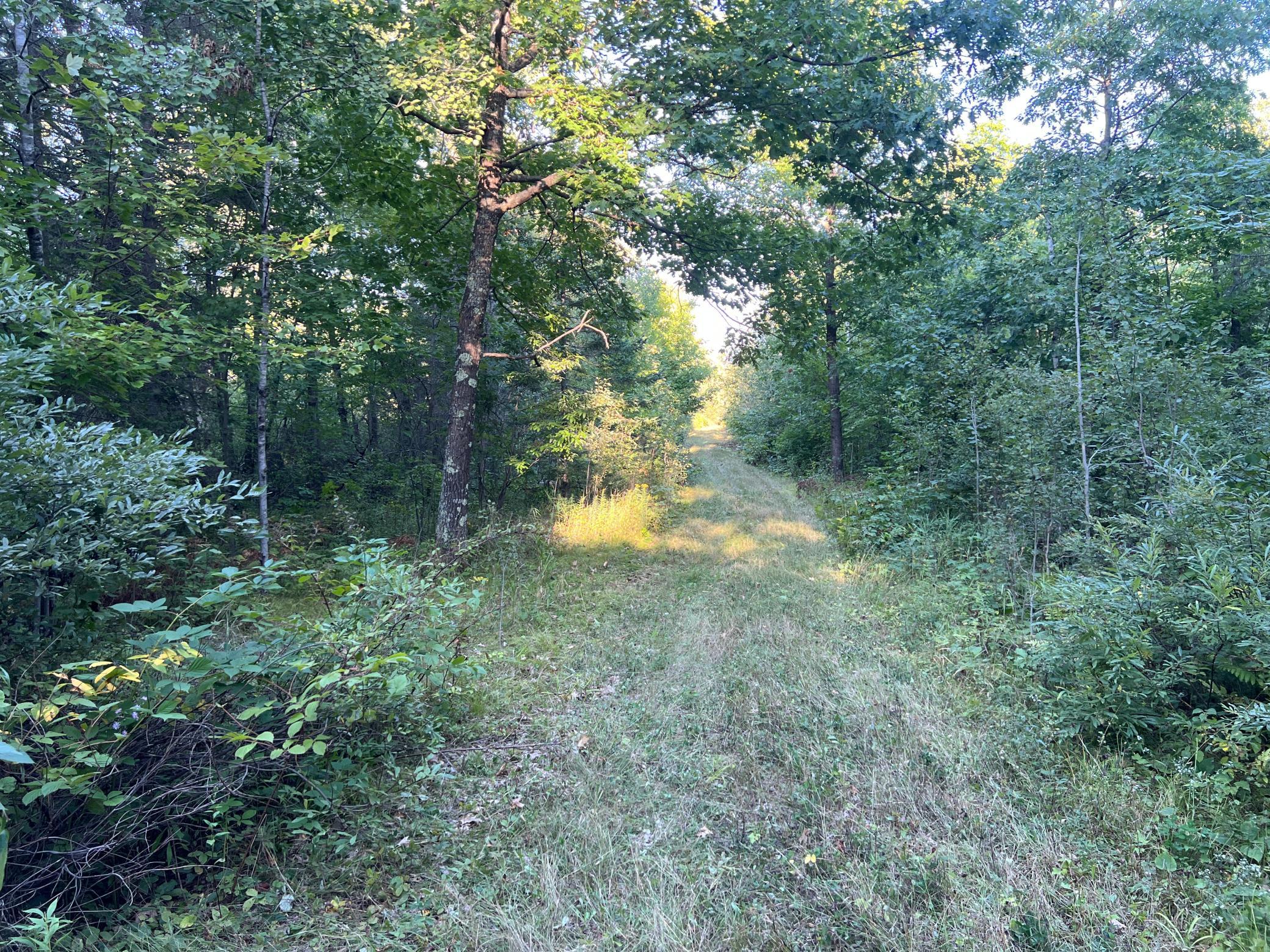 main property photo 31