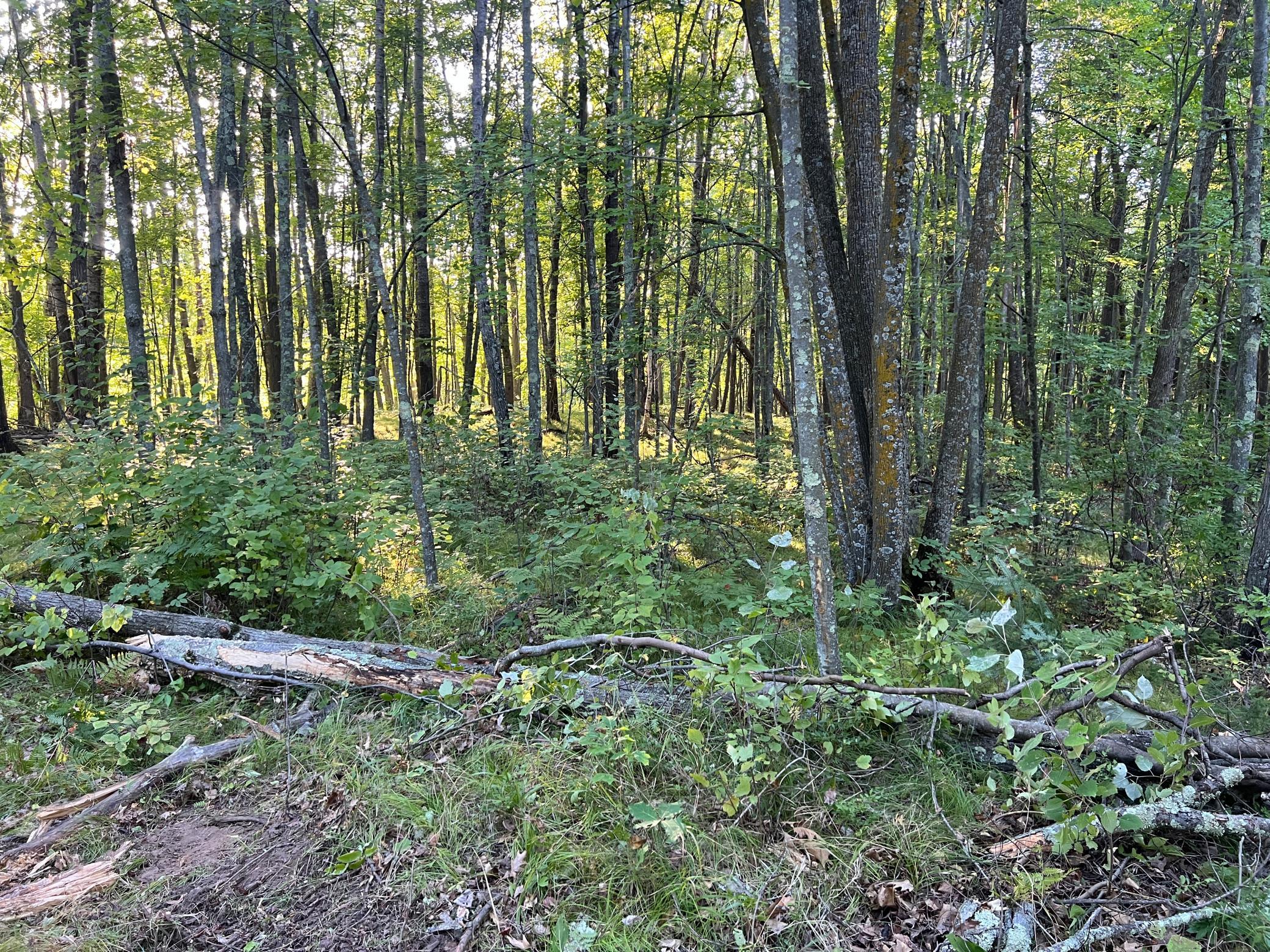 main property photo 35