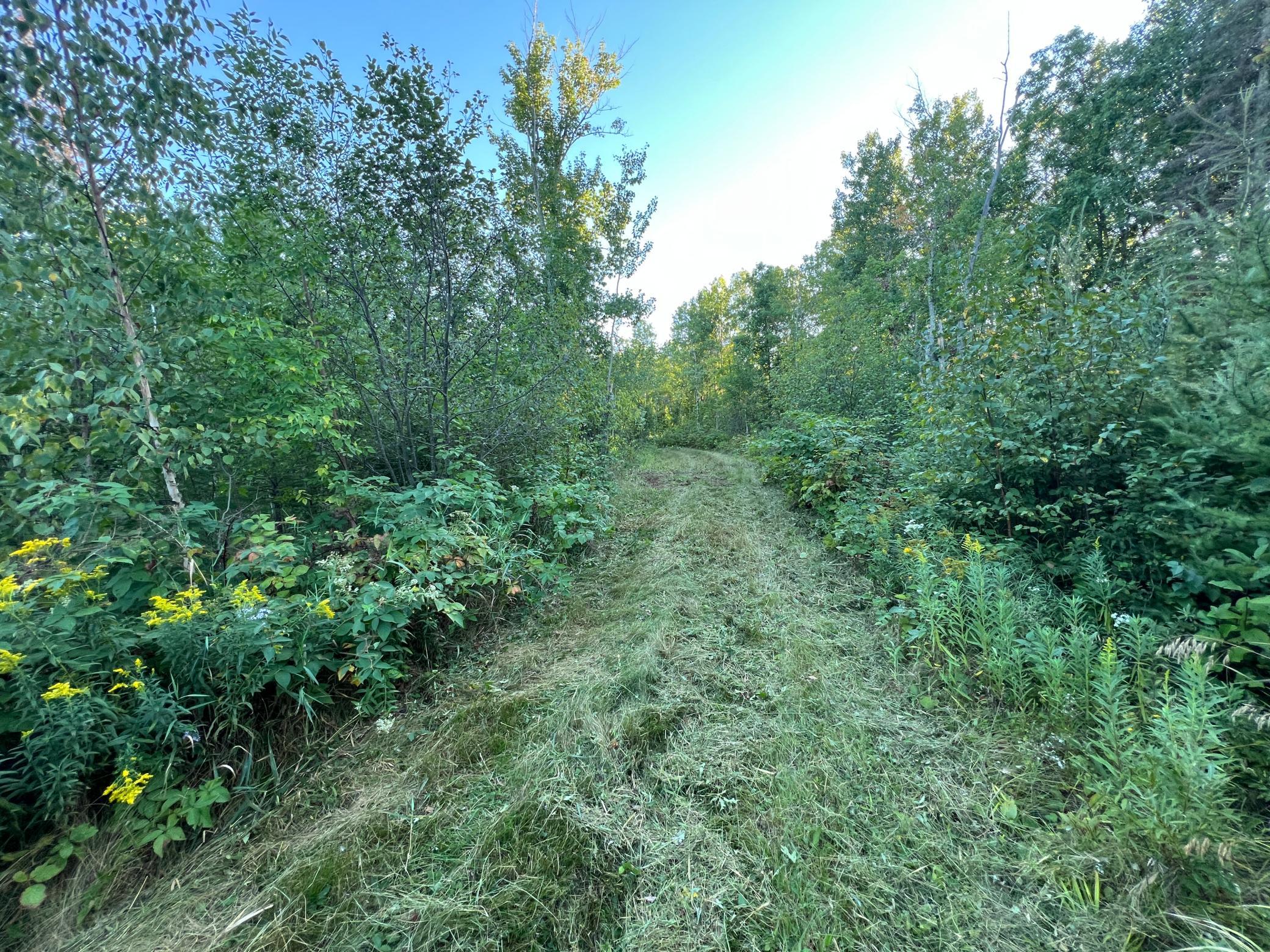 main property photo 40