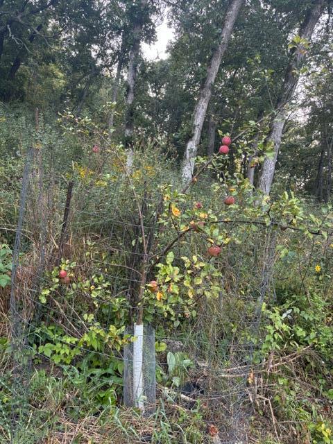 main property photo 44