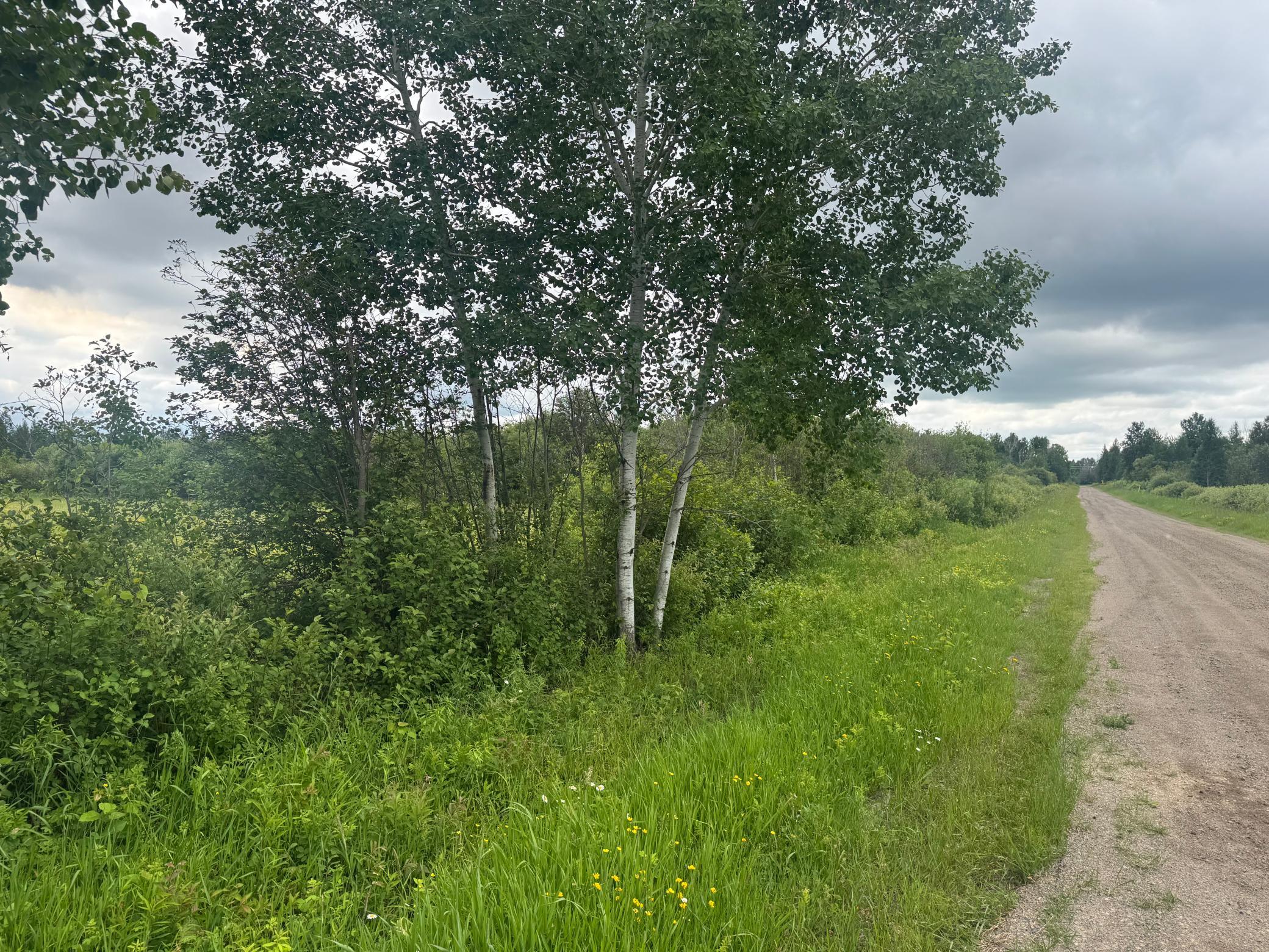 main property photo 50