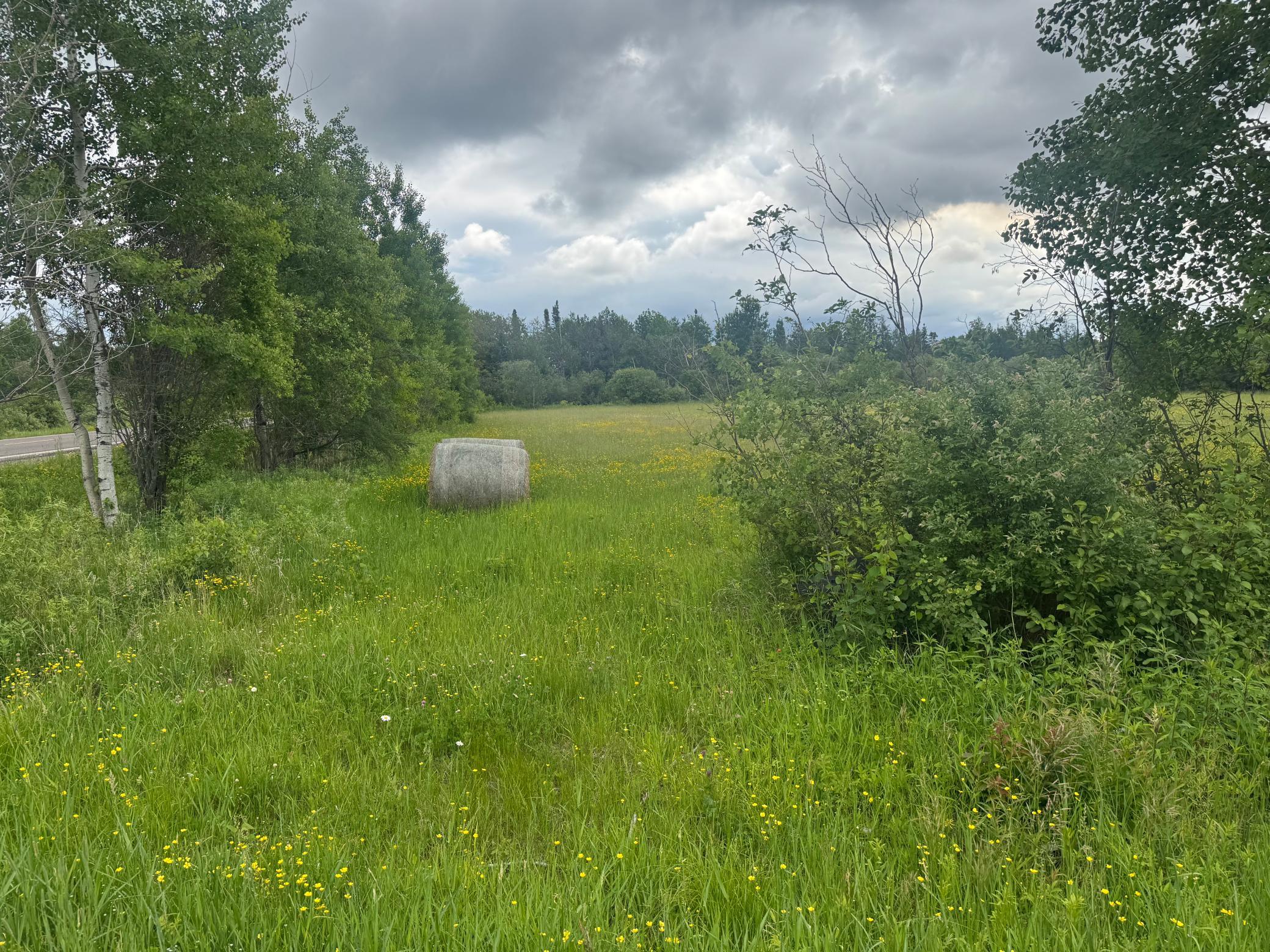 main property photo 51