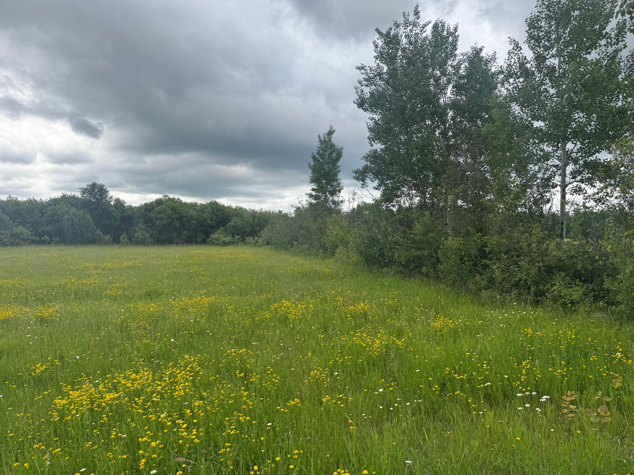 main property photo 53