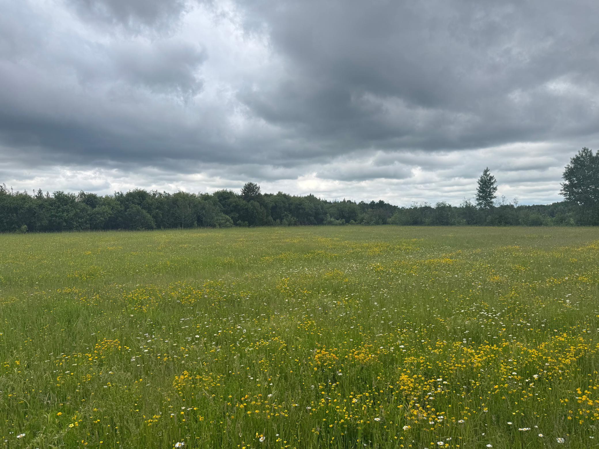 main property photo 55