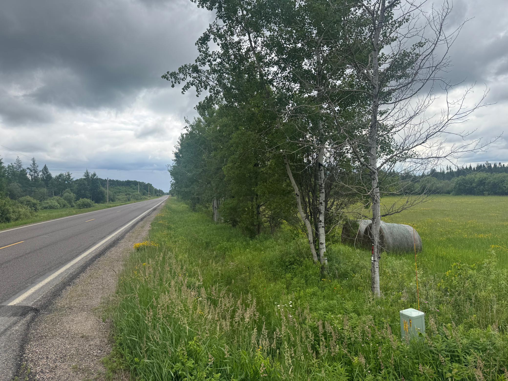 main property photo 56
