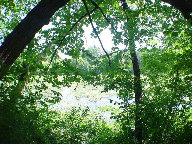main property photo 25
