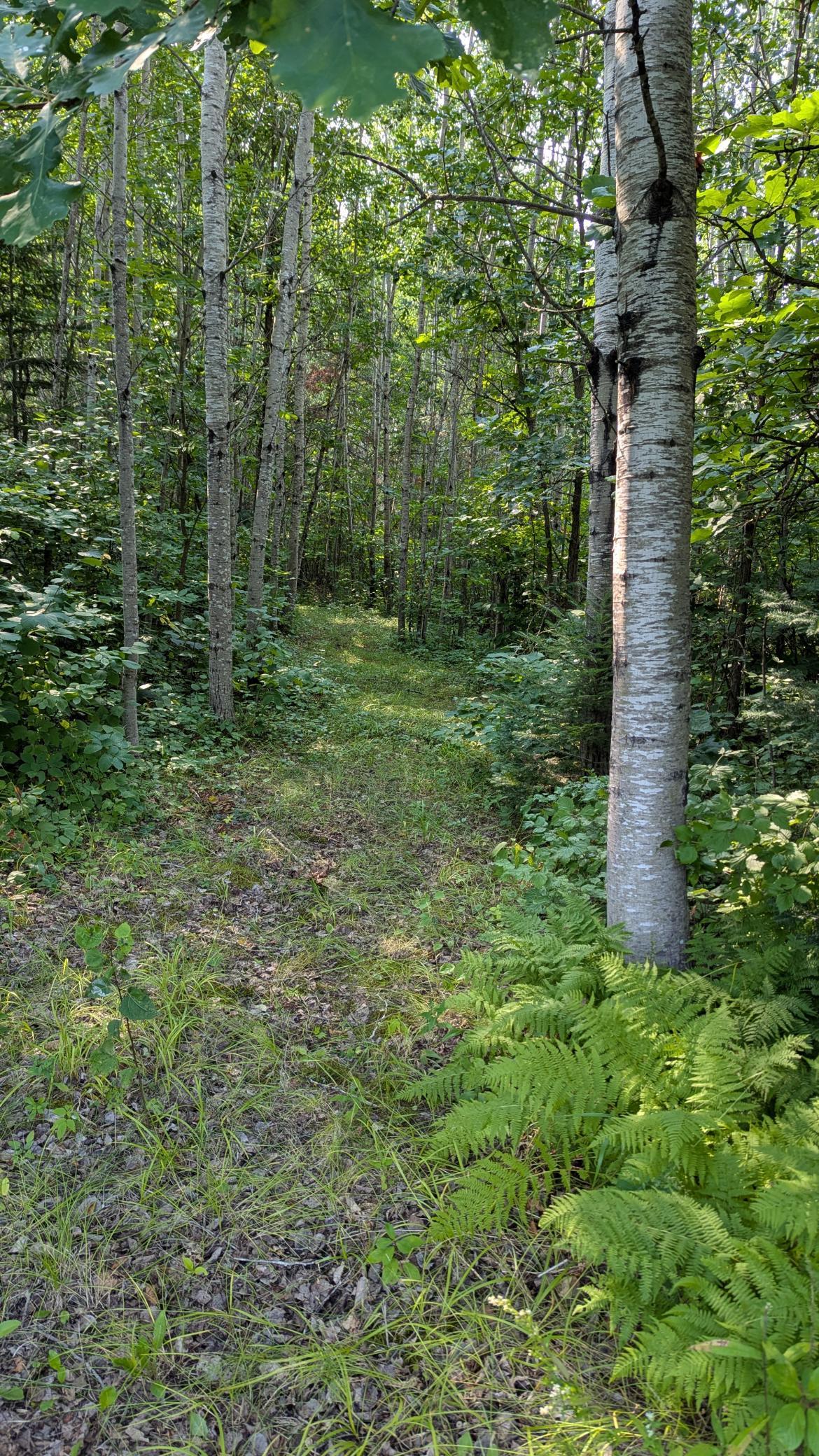 main property photo 10