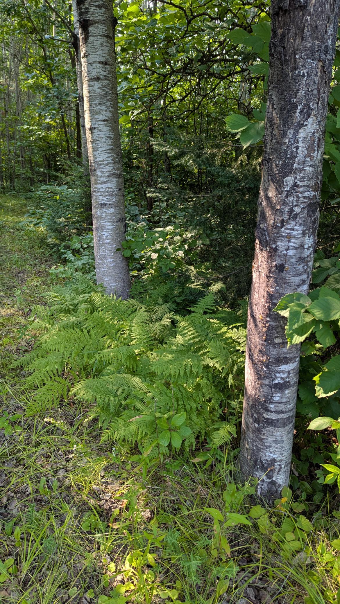 main property photo 11