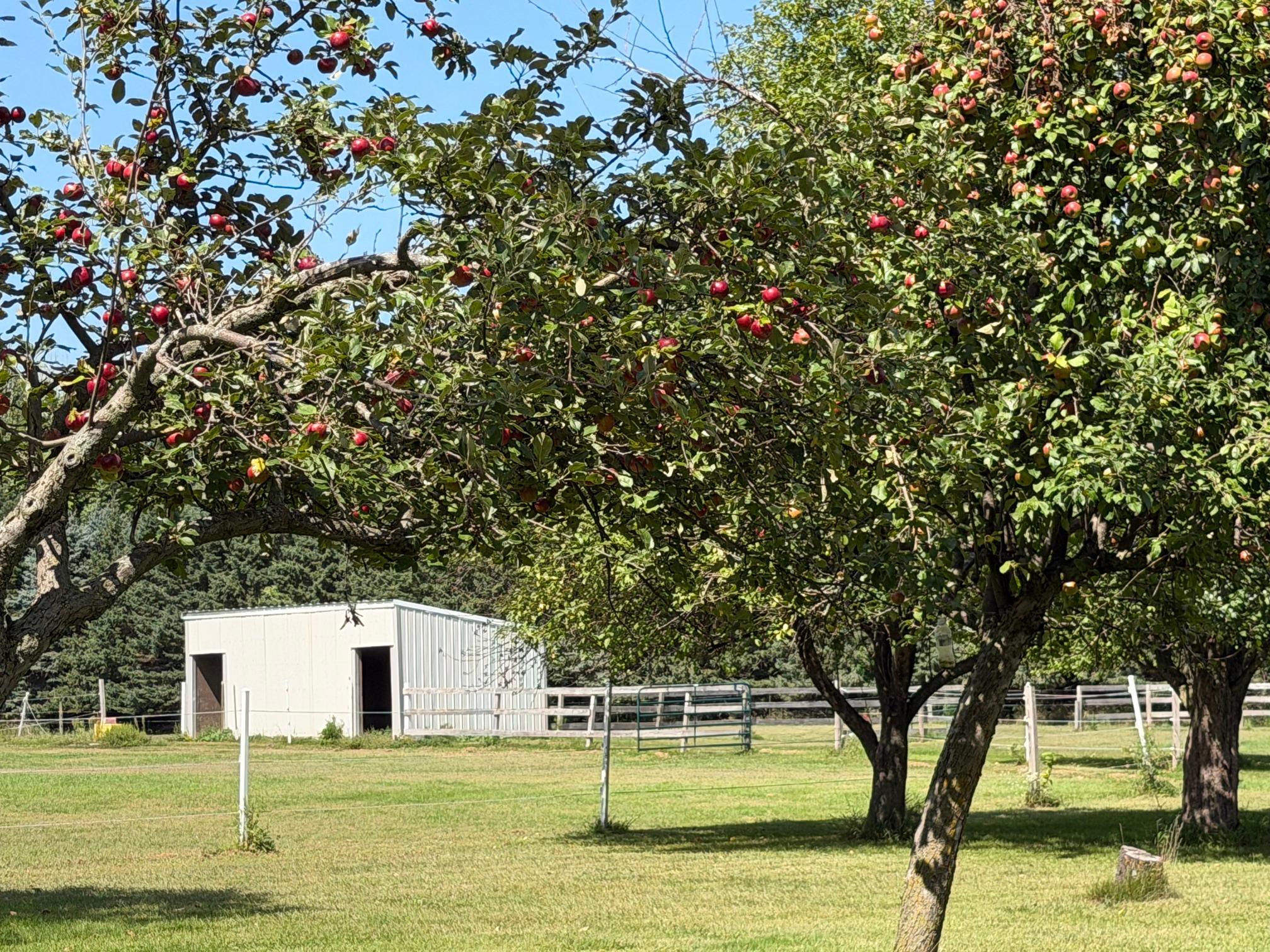 main property photo 61