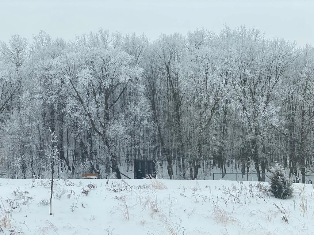 main property photo 94