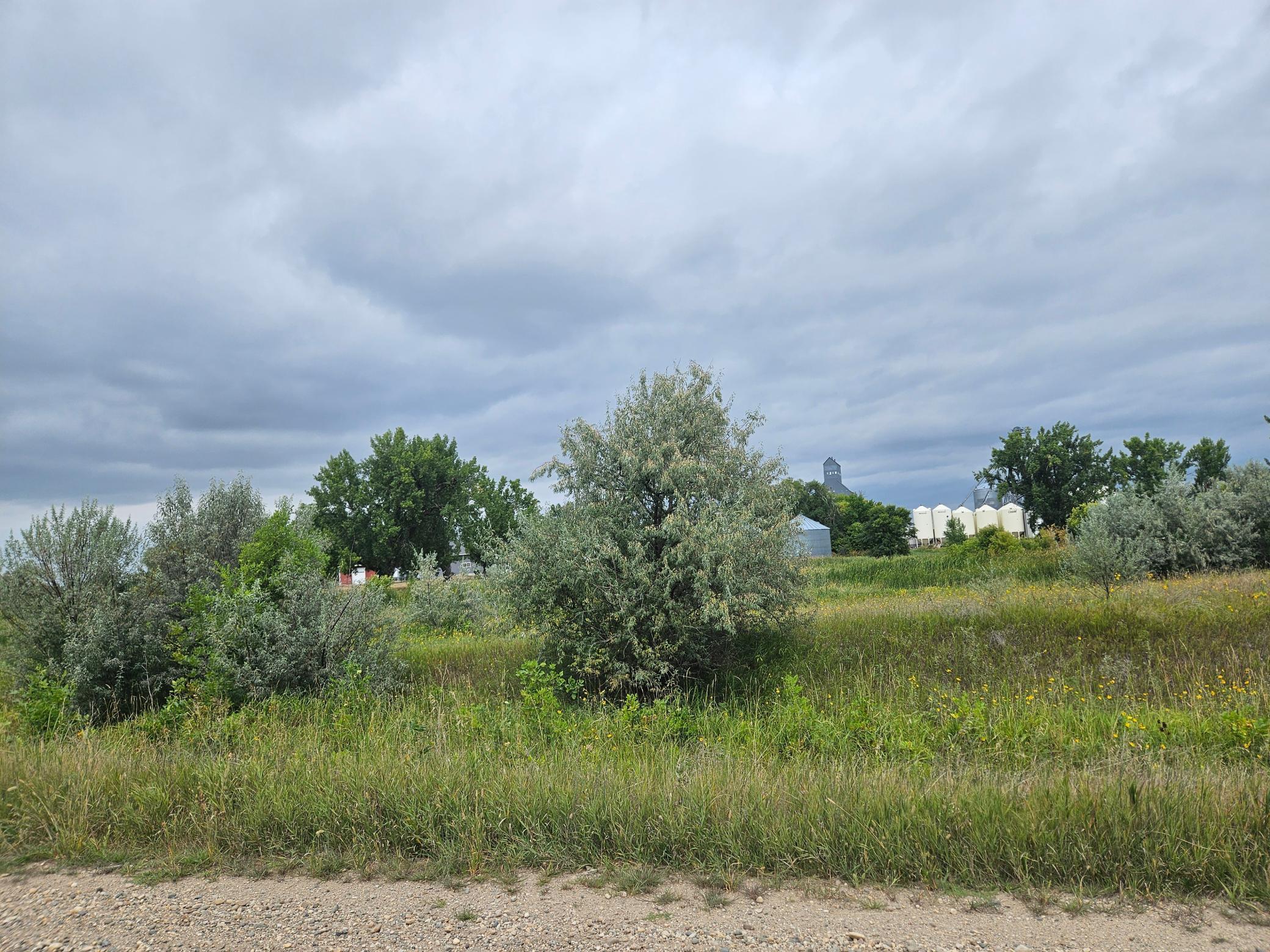 main property photo 21