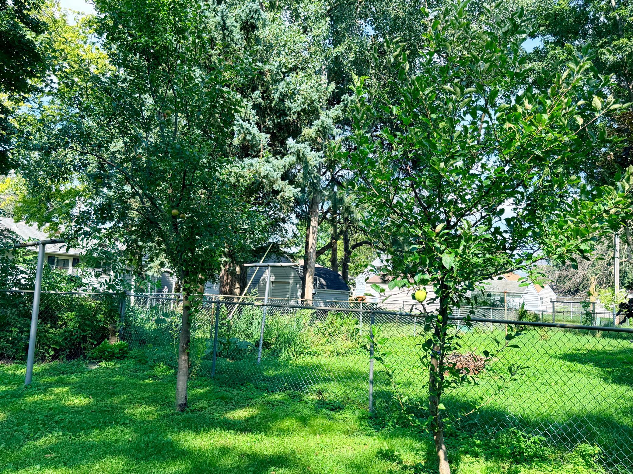 main property photo 9