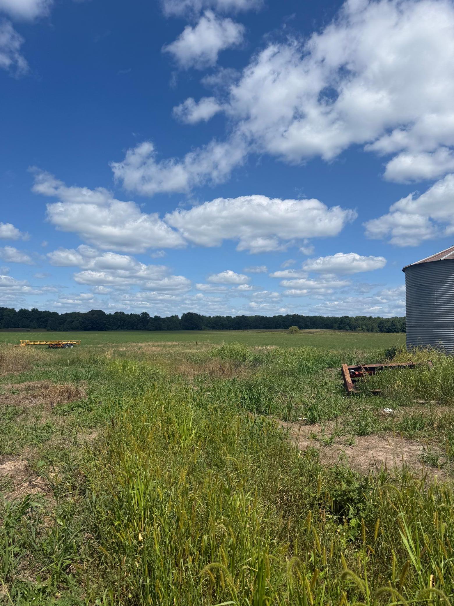 main property photo 46